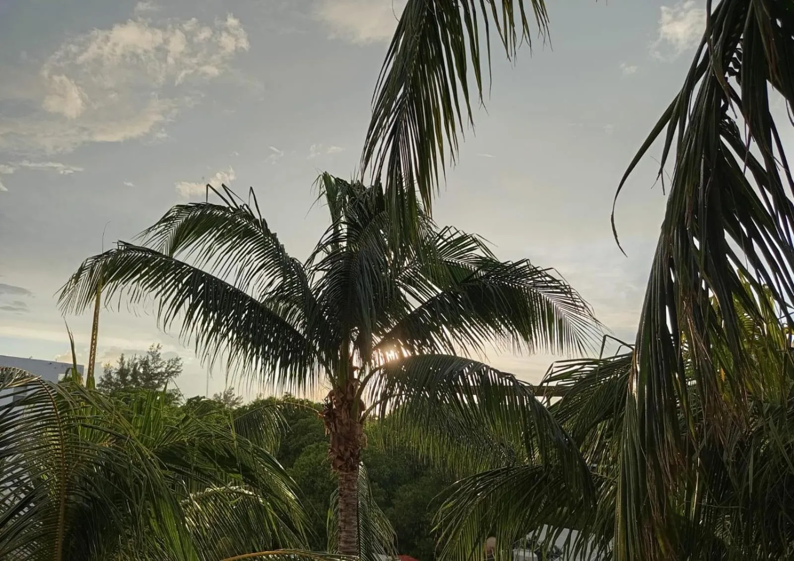 Day in Casa aloha-Isla Holbox