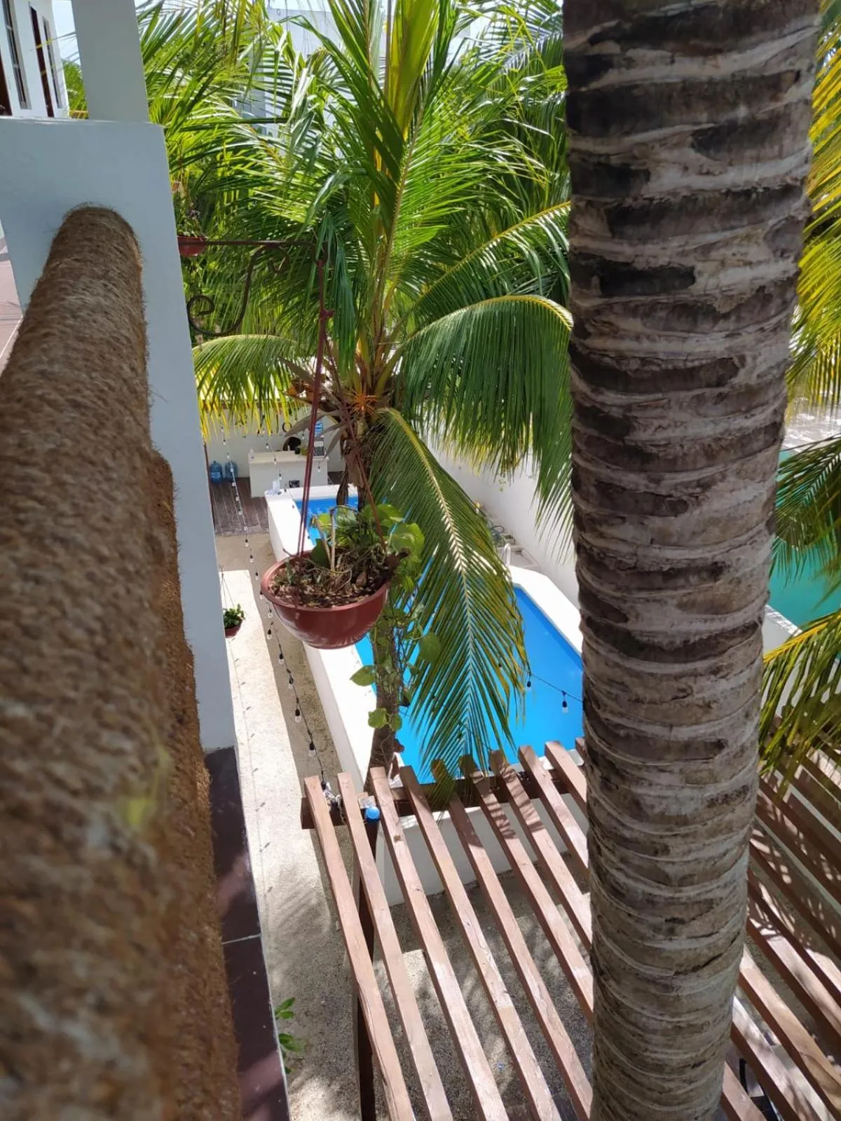 Swimming pool in Casa aloha-Isla Holbox