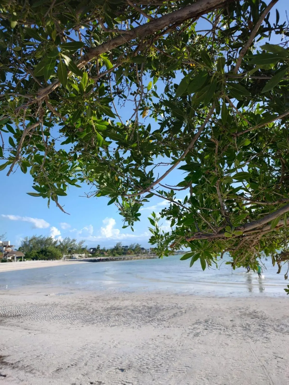 Day in Casa aloha-Isla Holbox
