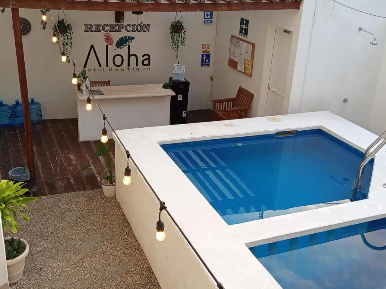 Lobby or reception in Casa aloha-Isla Holbox