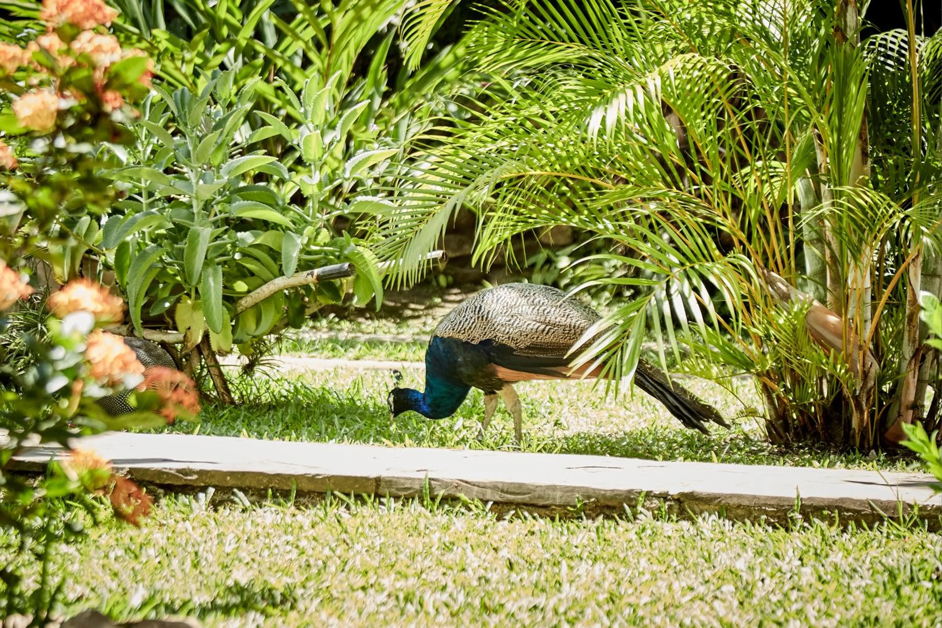 Natural landscape in Villa Lu Amazon Ecolodge