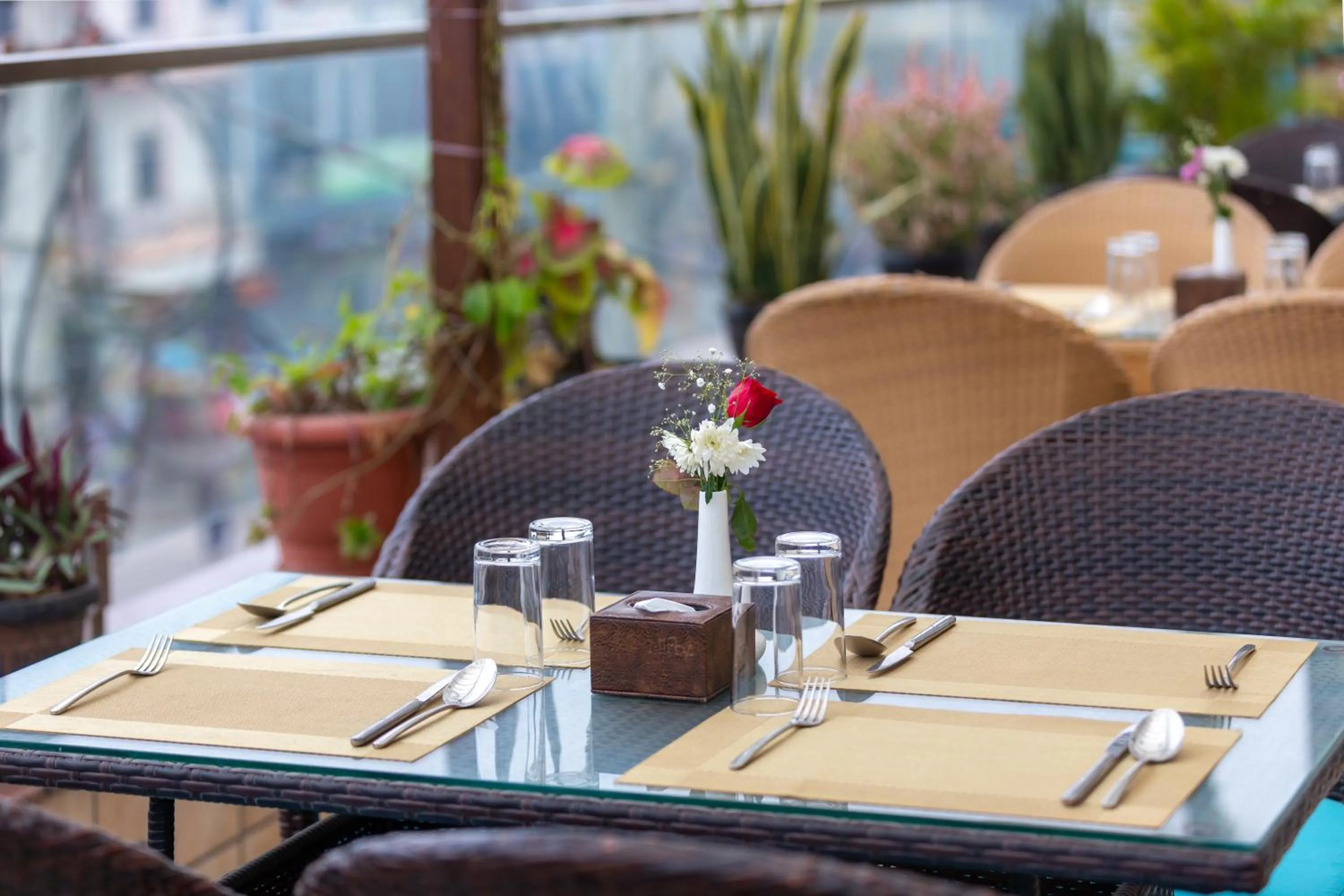 Restaurant/places to eat in Dream International Hotel