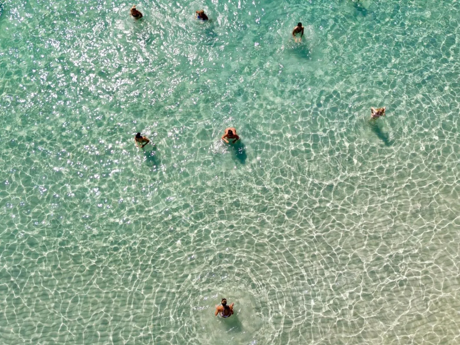 Activities in Hotel Dei Pini