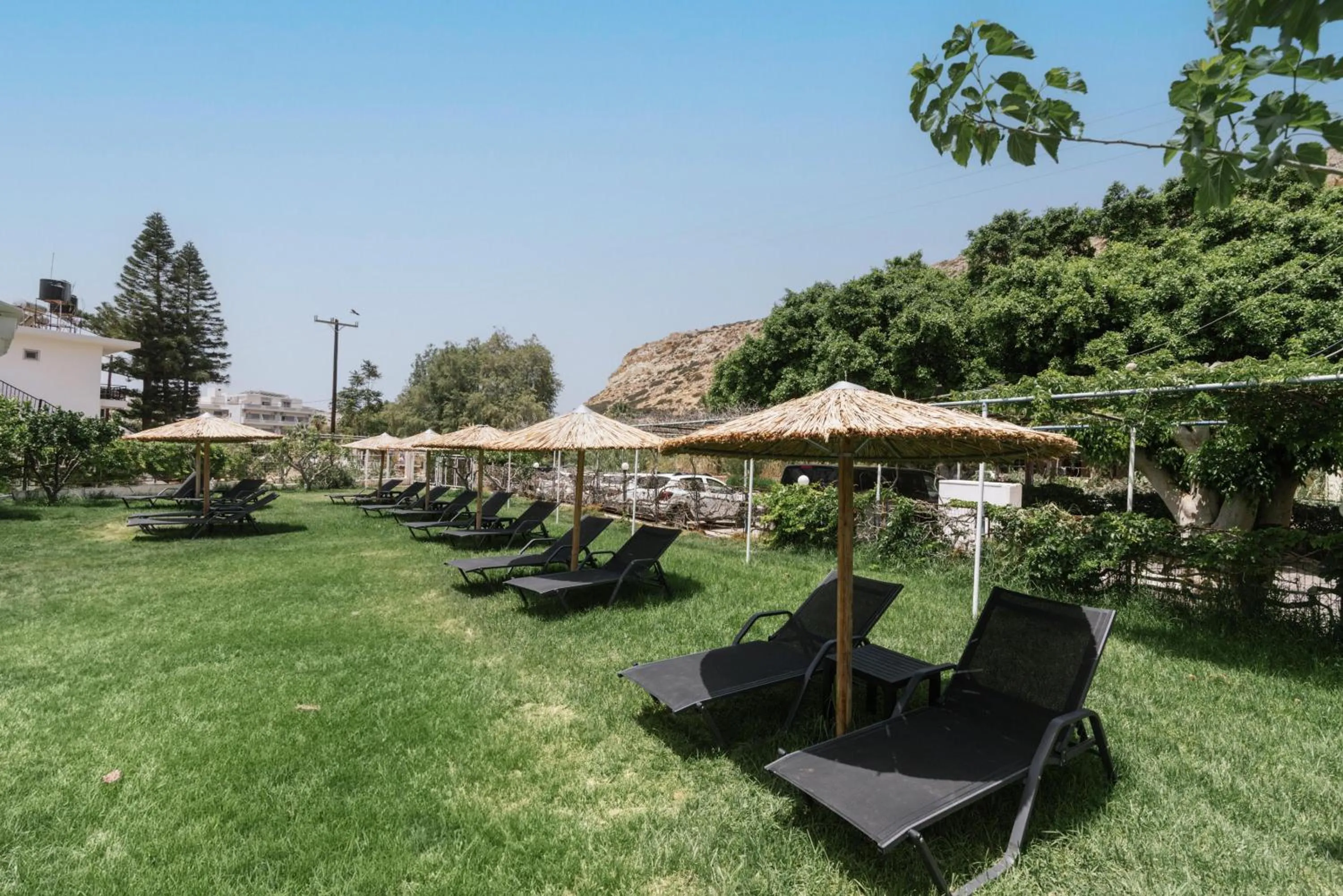 Garden in Elea Terra Hotel