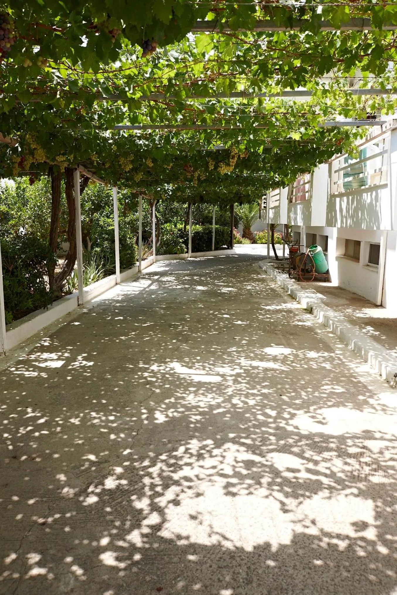 Garden in Elea Terra Hotel