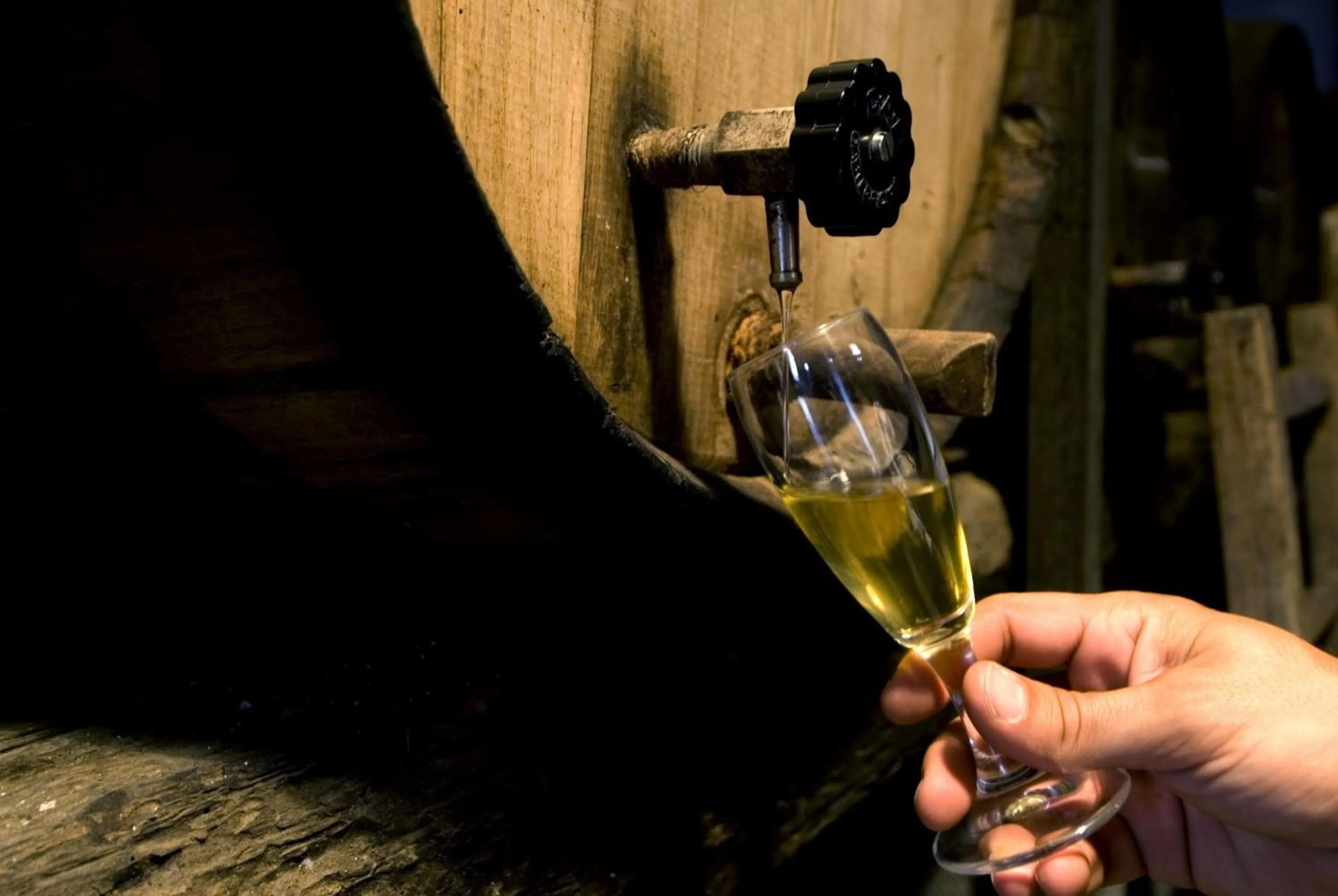 Drinks in Hotel Lucrezia