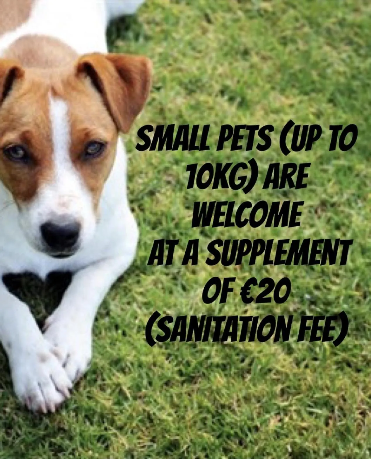 Albergo Belsoggiorno