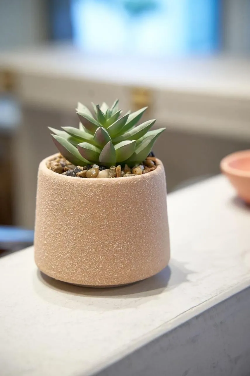 Decorative detail in Celine's Rose