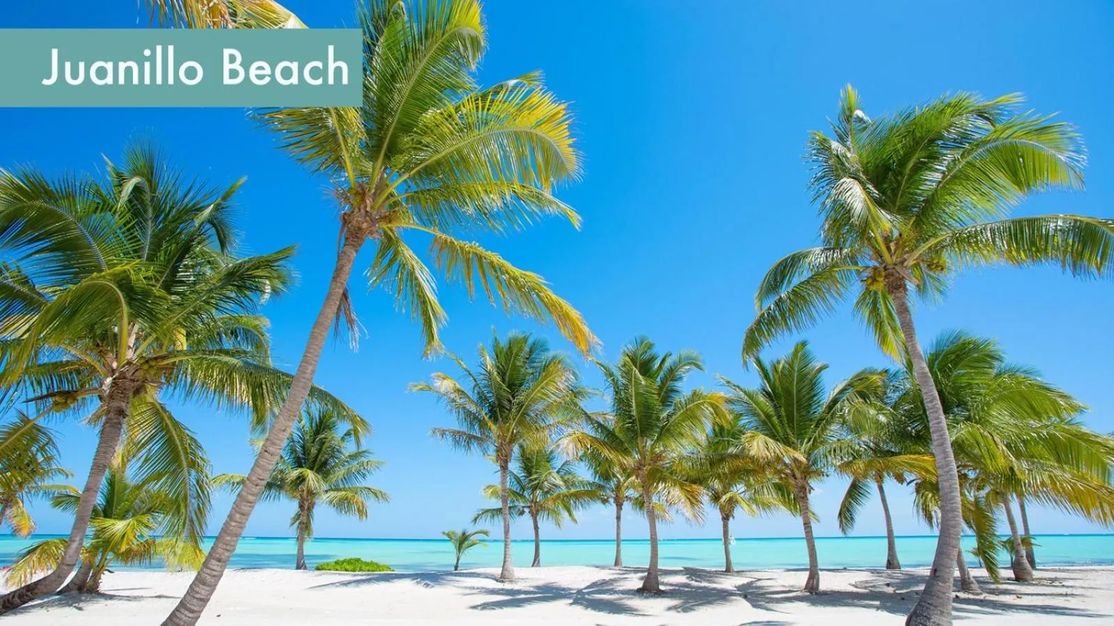 Nearby landmark in Precioso Apartamento a solo pasos de la Playa