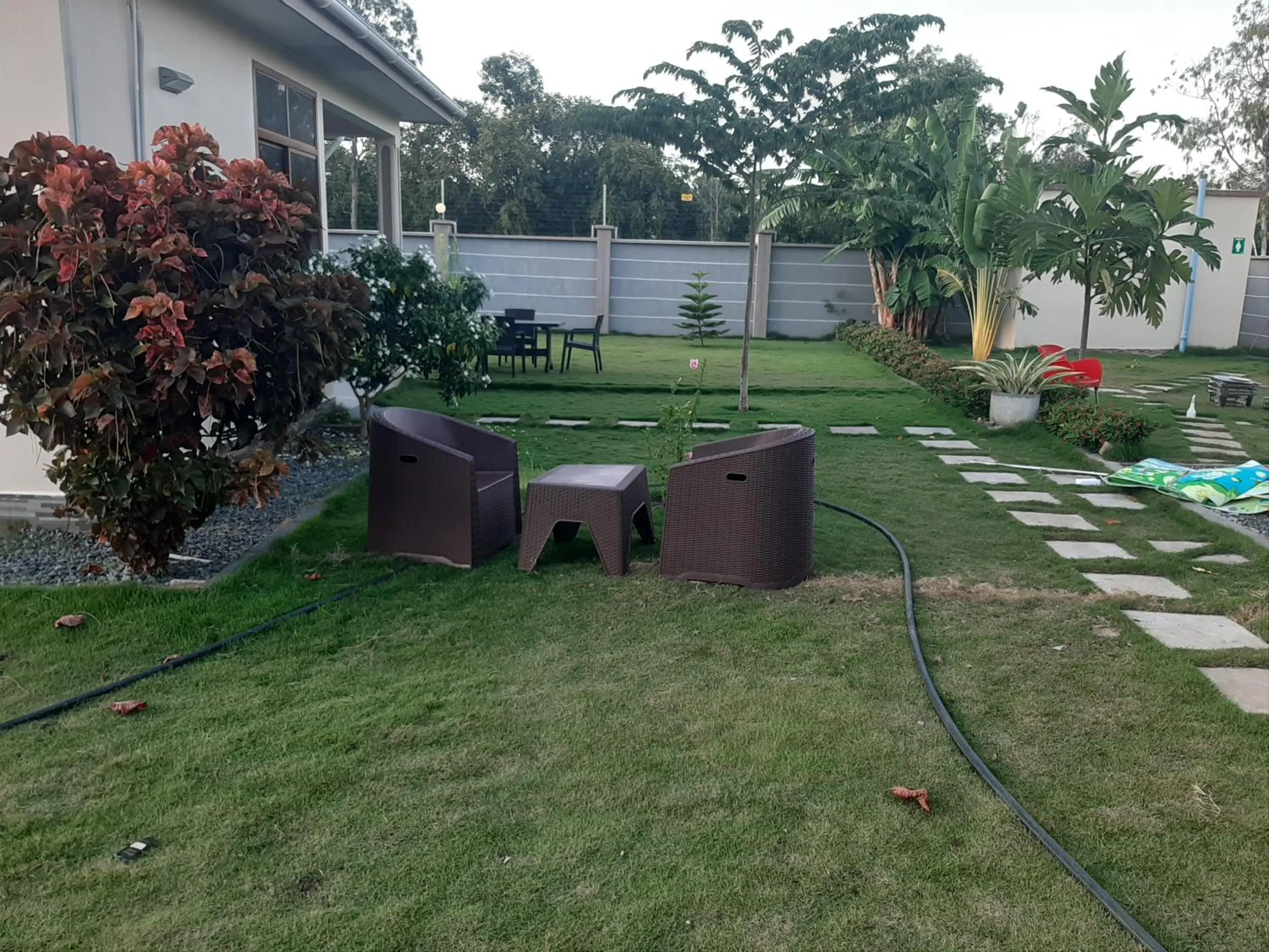 Spring in Joleen Safari Park