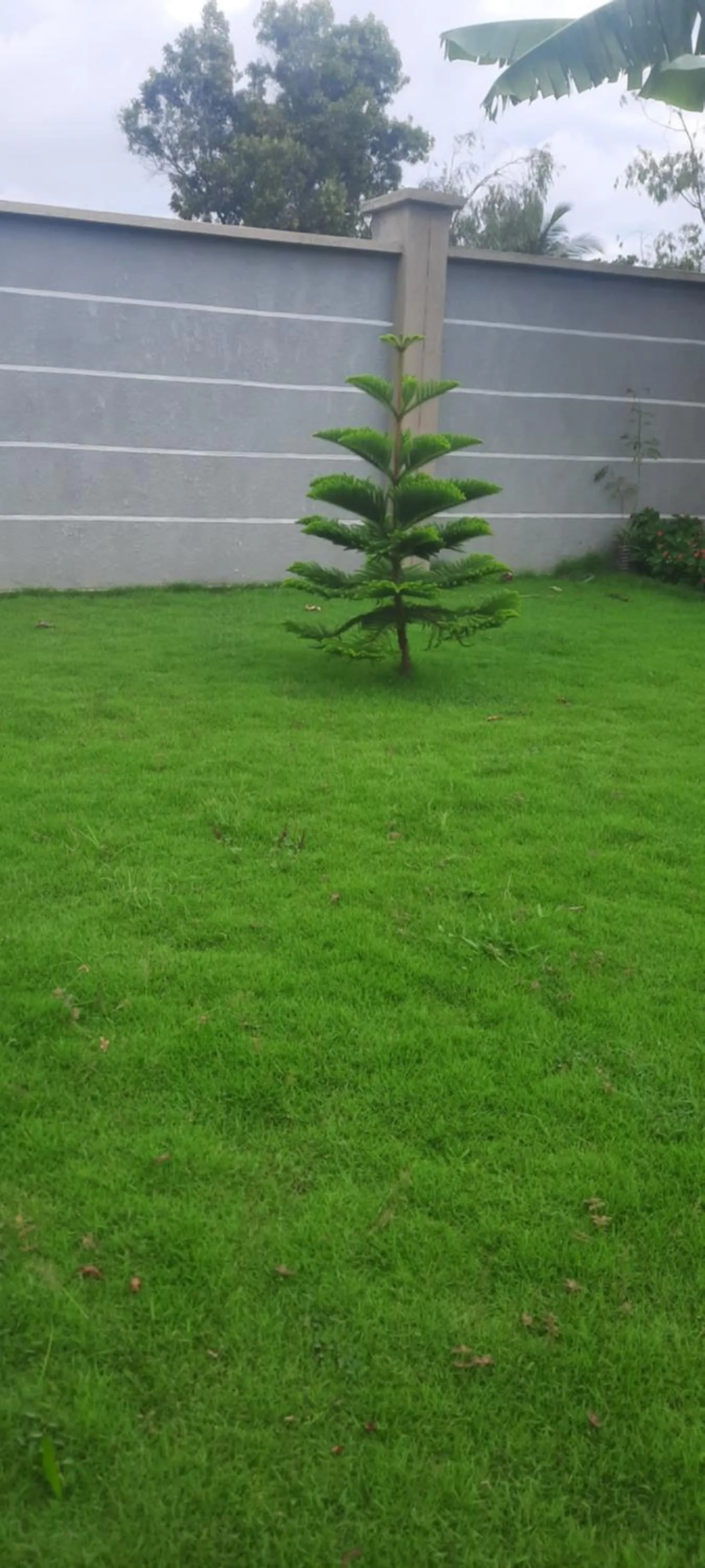 Day in Joleen Safari Park