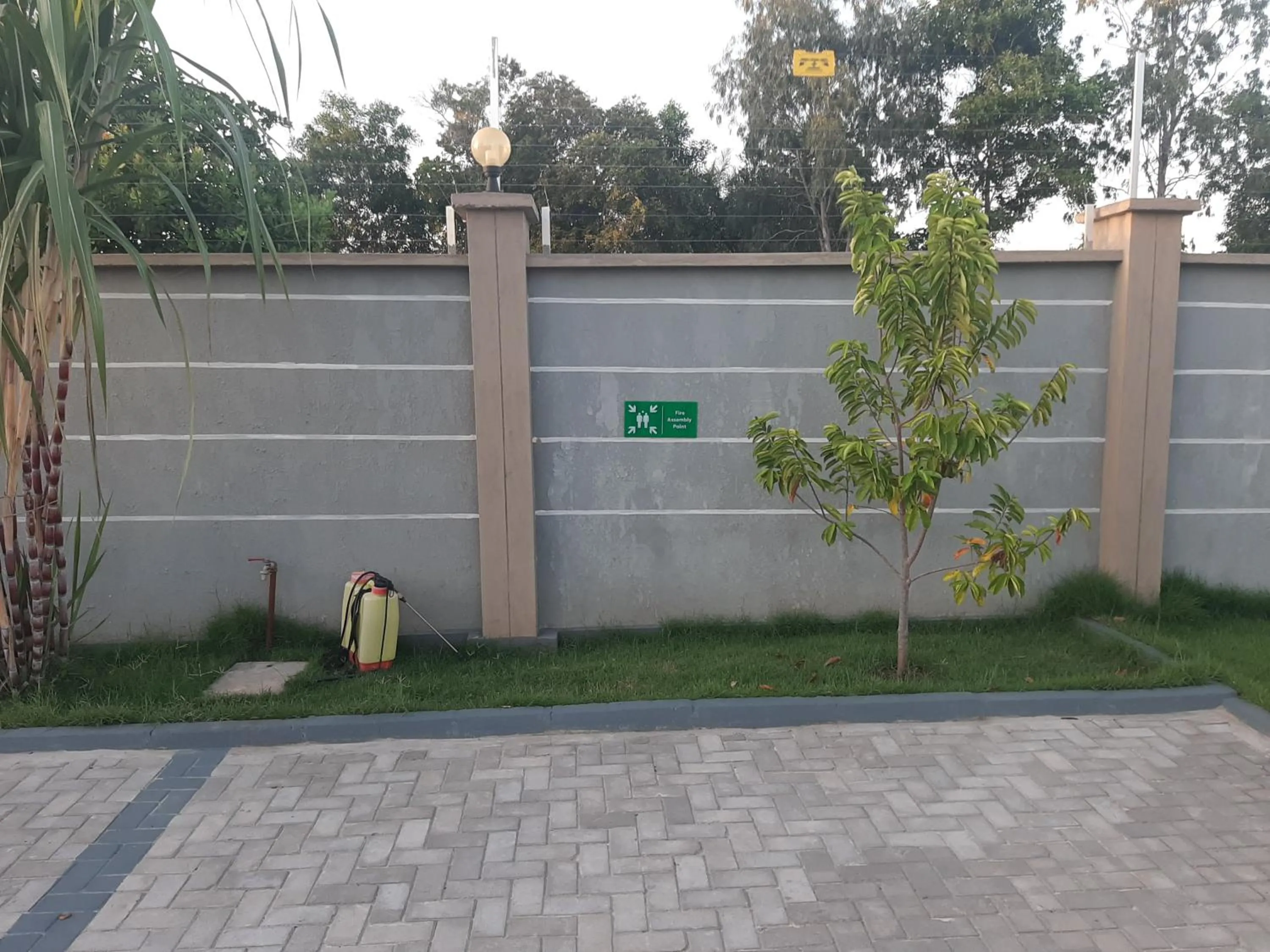 Parking in Joleen Safari Park