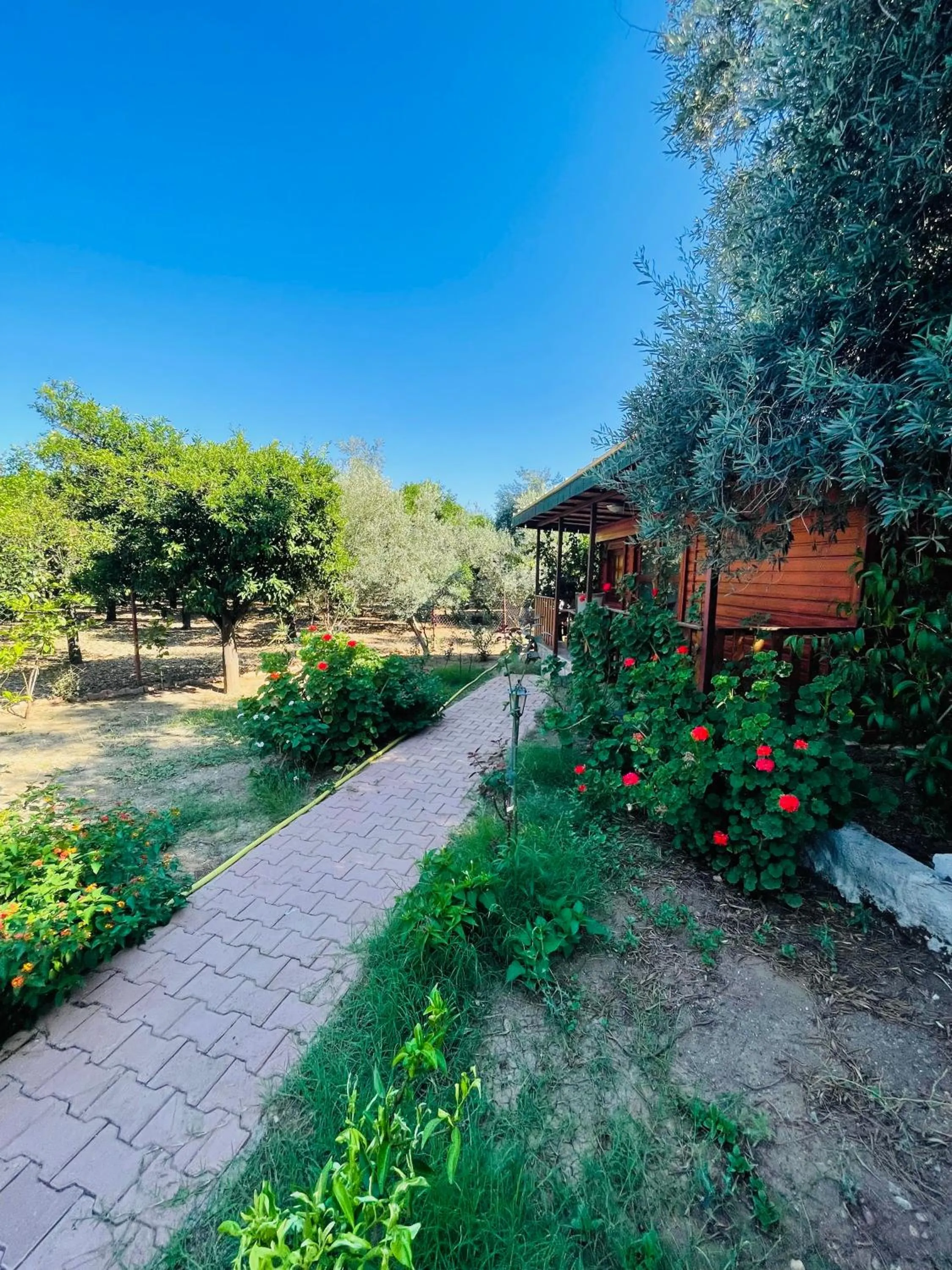 Garden view in Felicity Hotel & Bungalows