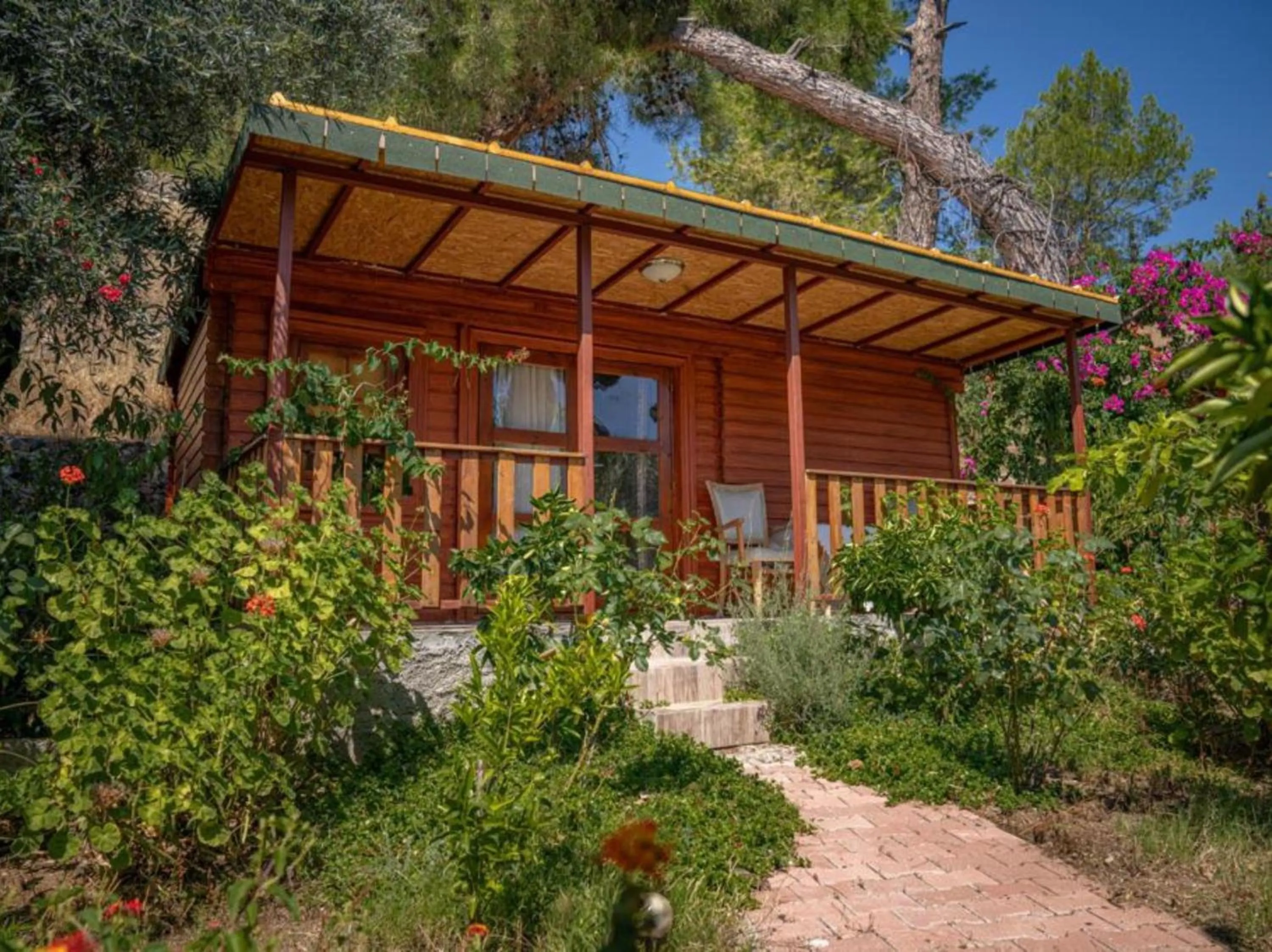 Spring in Felicity Hotel & Bungalows