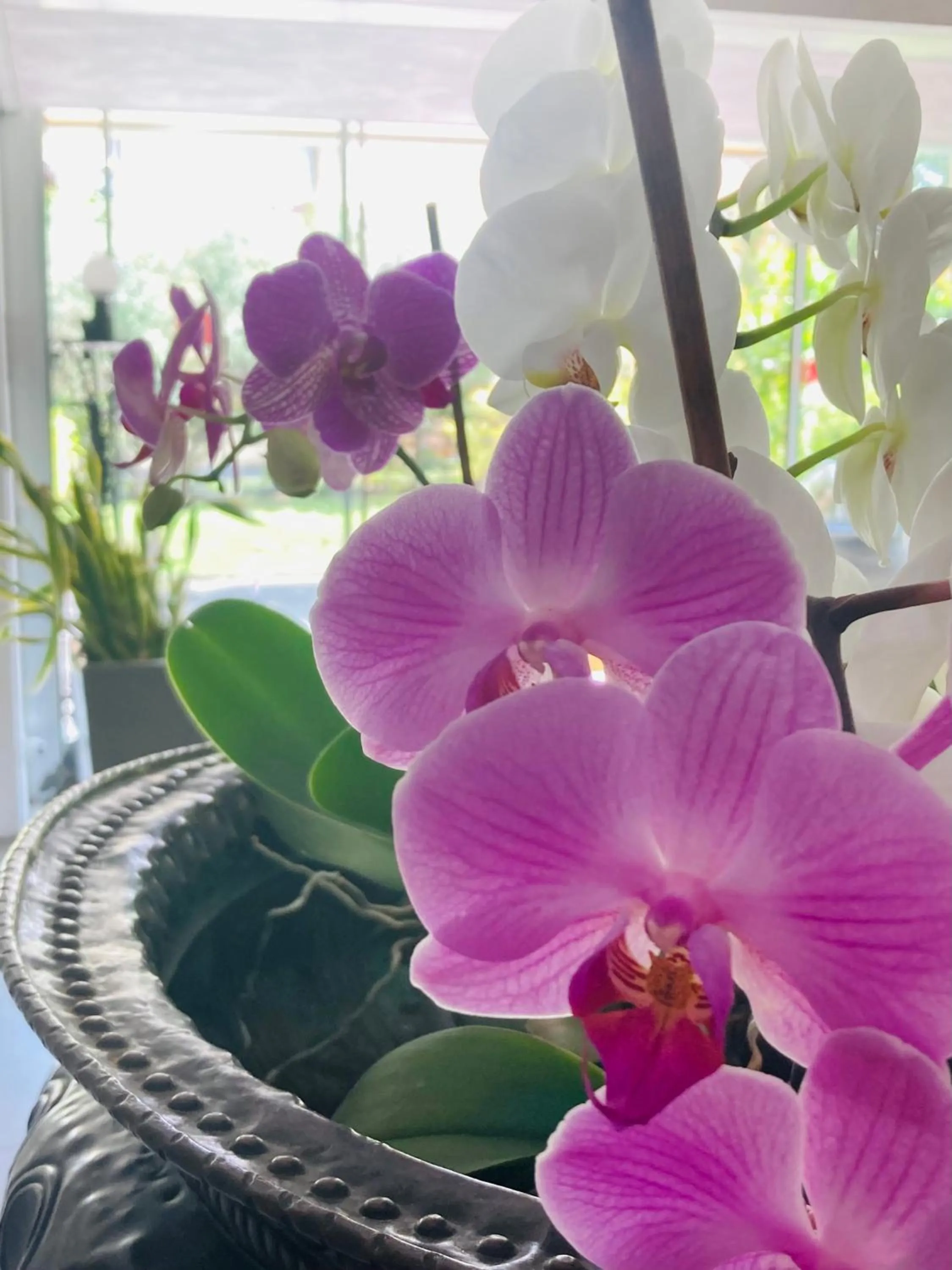 Lobby or reception in Hotel Ghironi