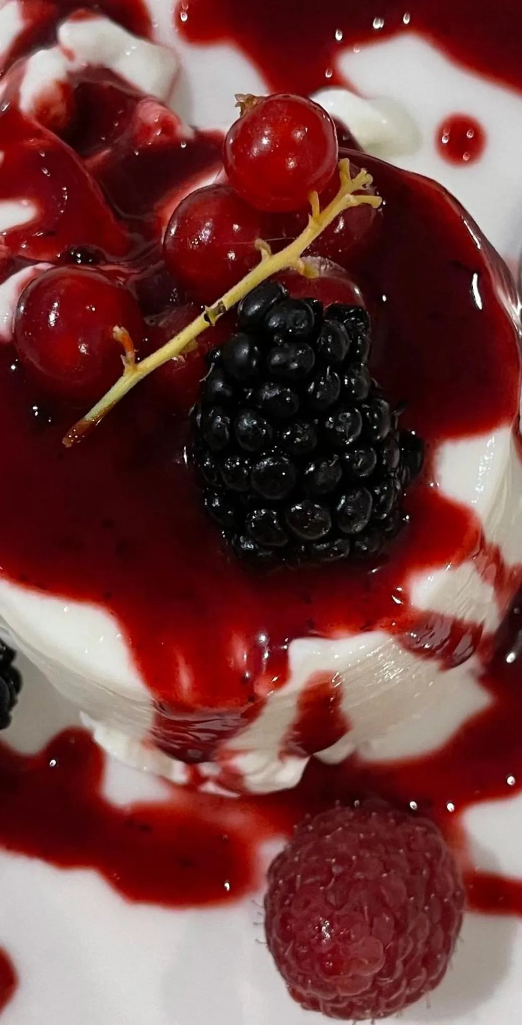 Restaurant/places to eat in Hotel Ghironi