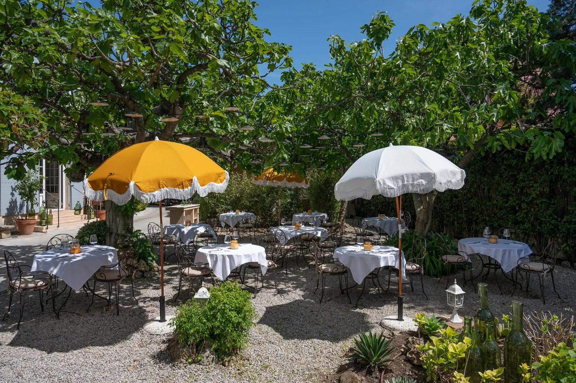 Garden in Lou Cagnard