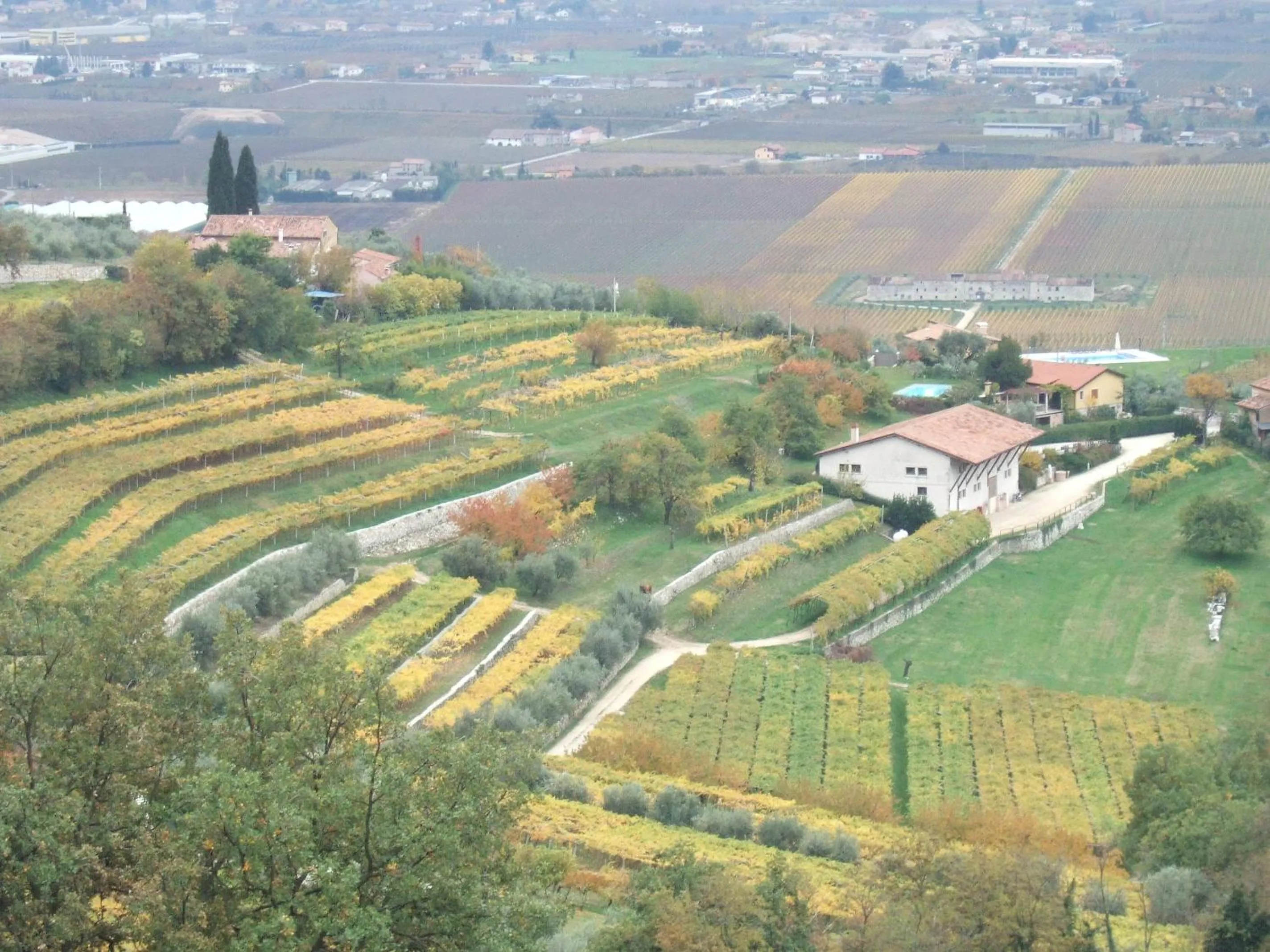 View (from property/room) in Villa San Giorgio