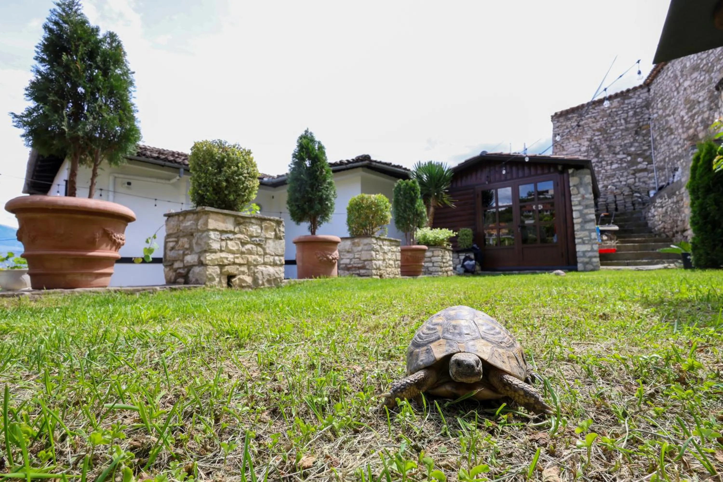 Garden view in Villa ELMAR