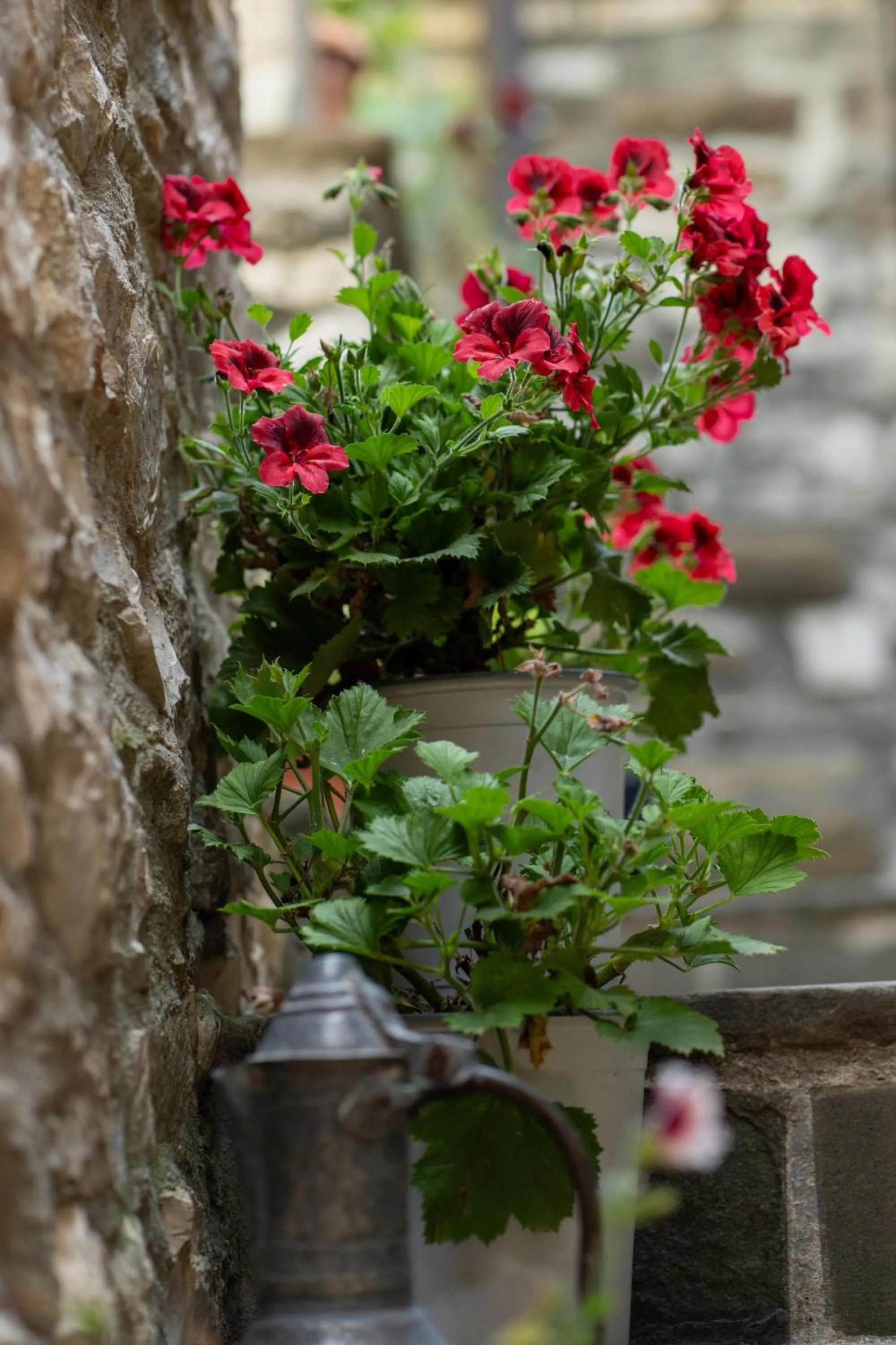 Spring in Villa ELMAR