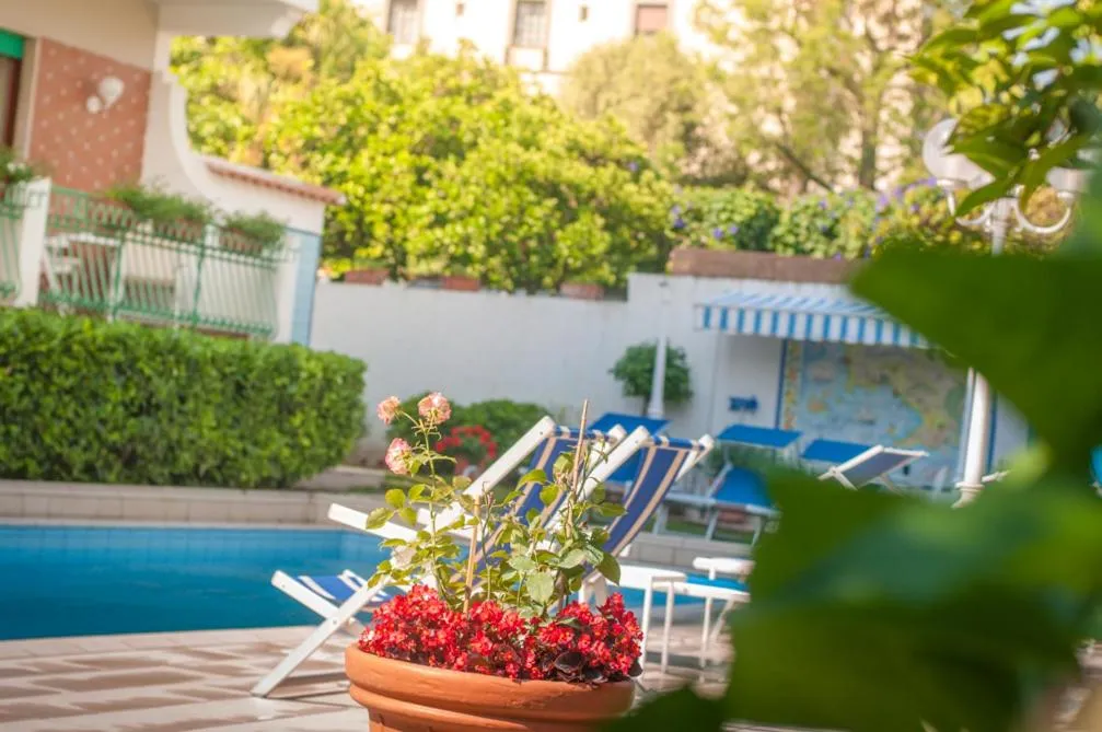 Swimming pool in Hotel Eliseo Park's