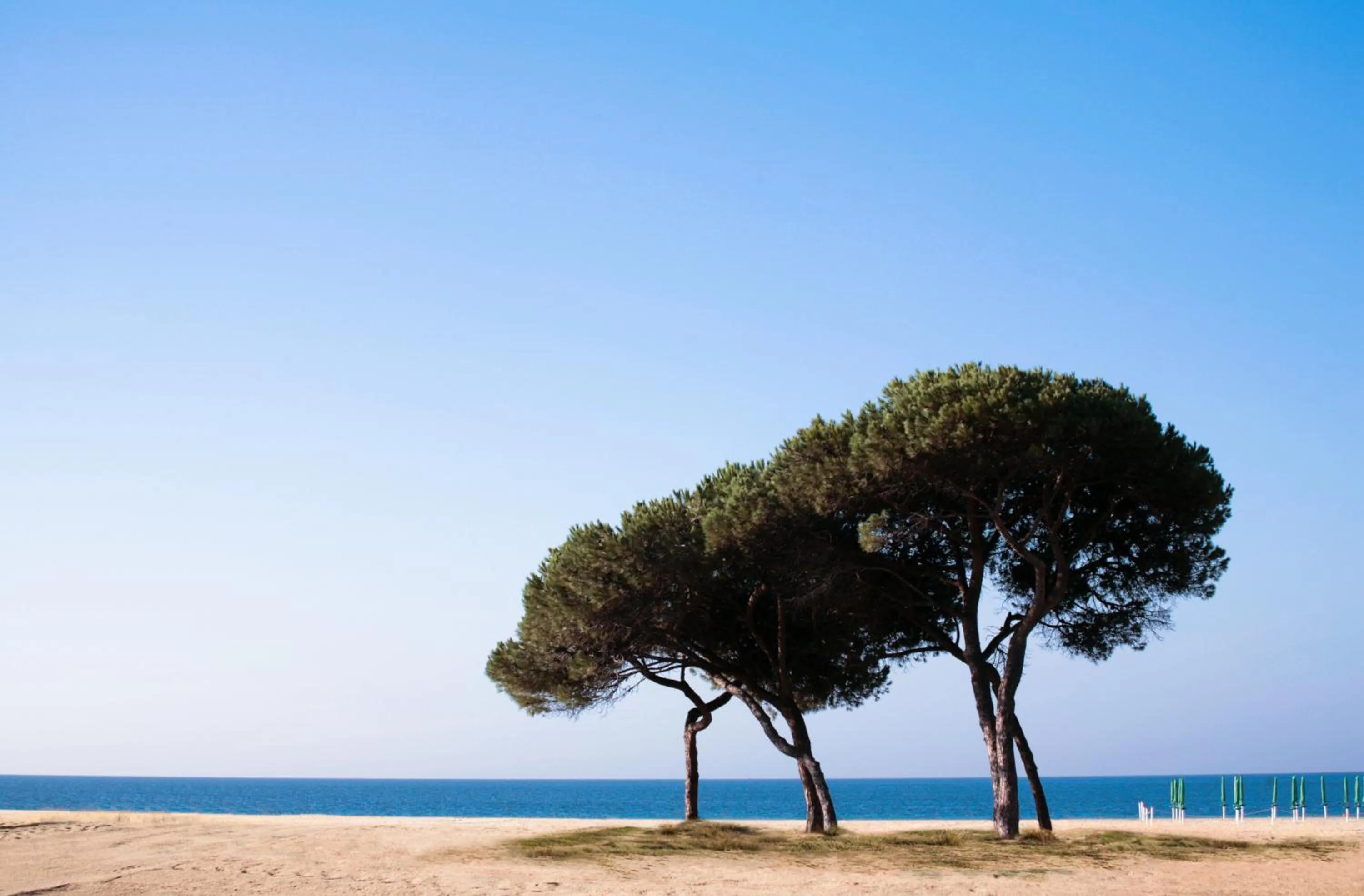 Beach in Hotel Califfo
