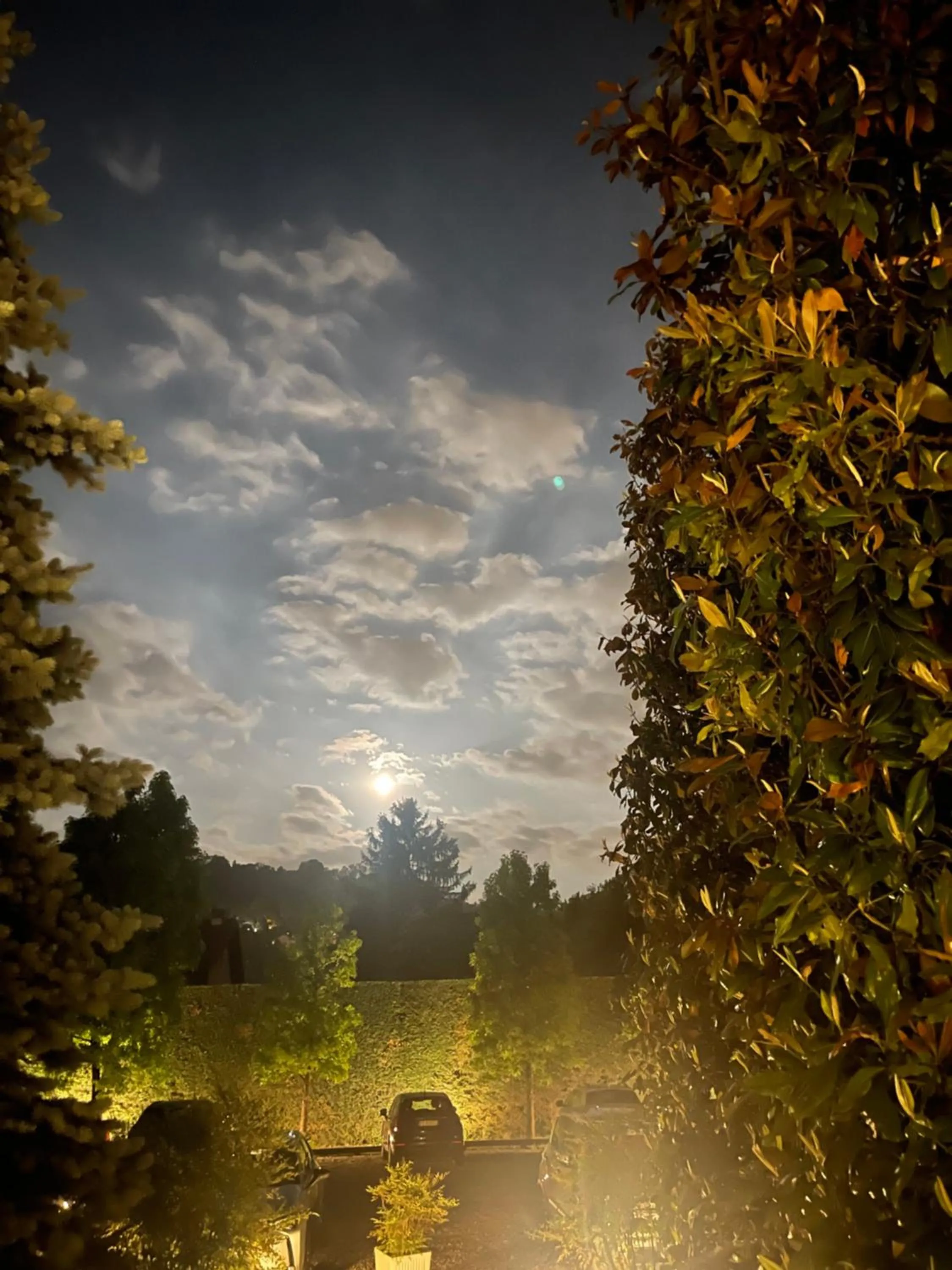 Garden view in Parco Hotel Sassi