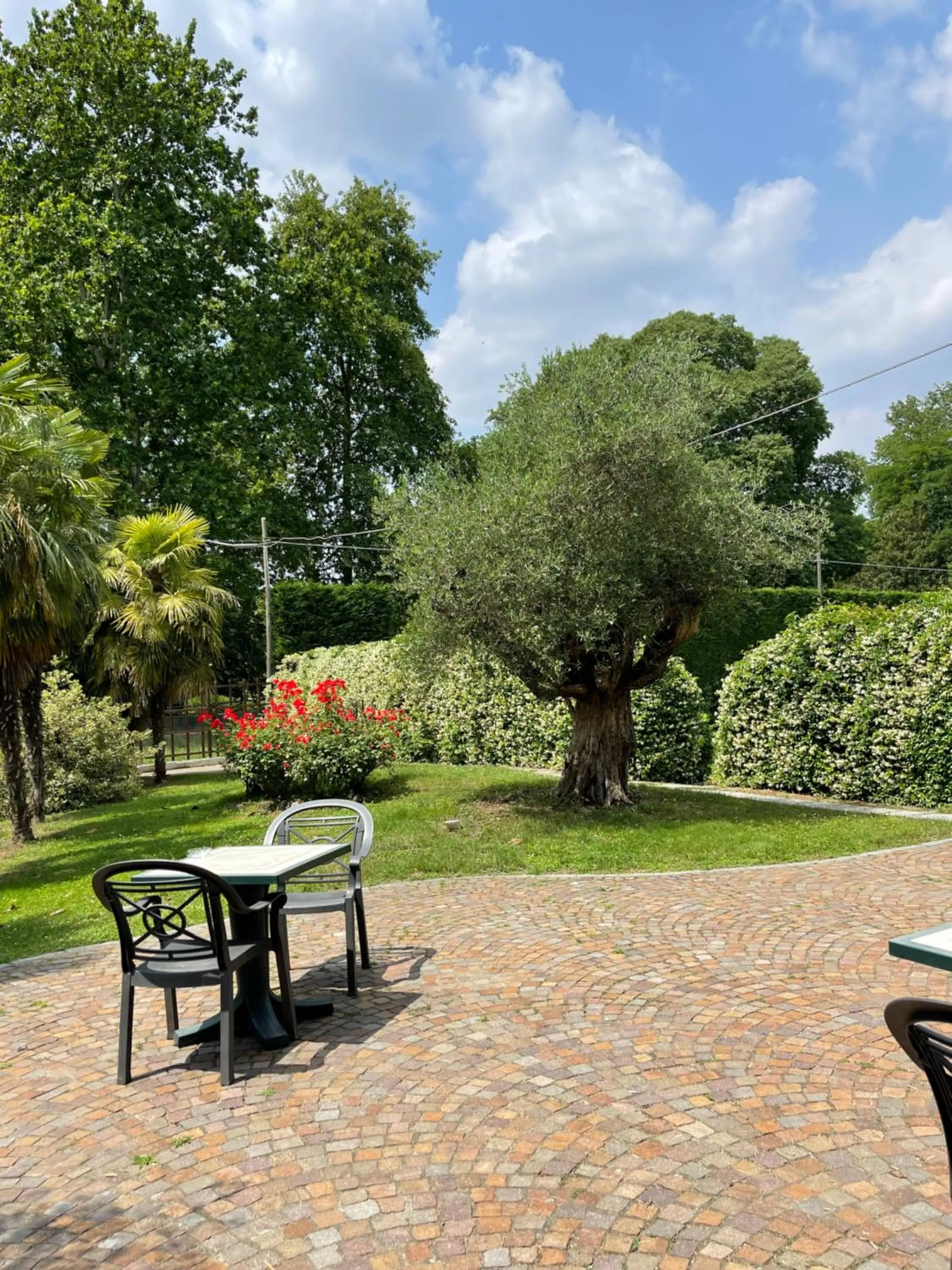 Garden in Parco Hotel Sassi