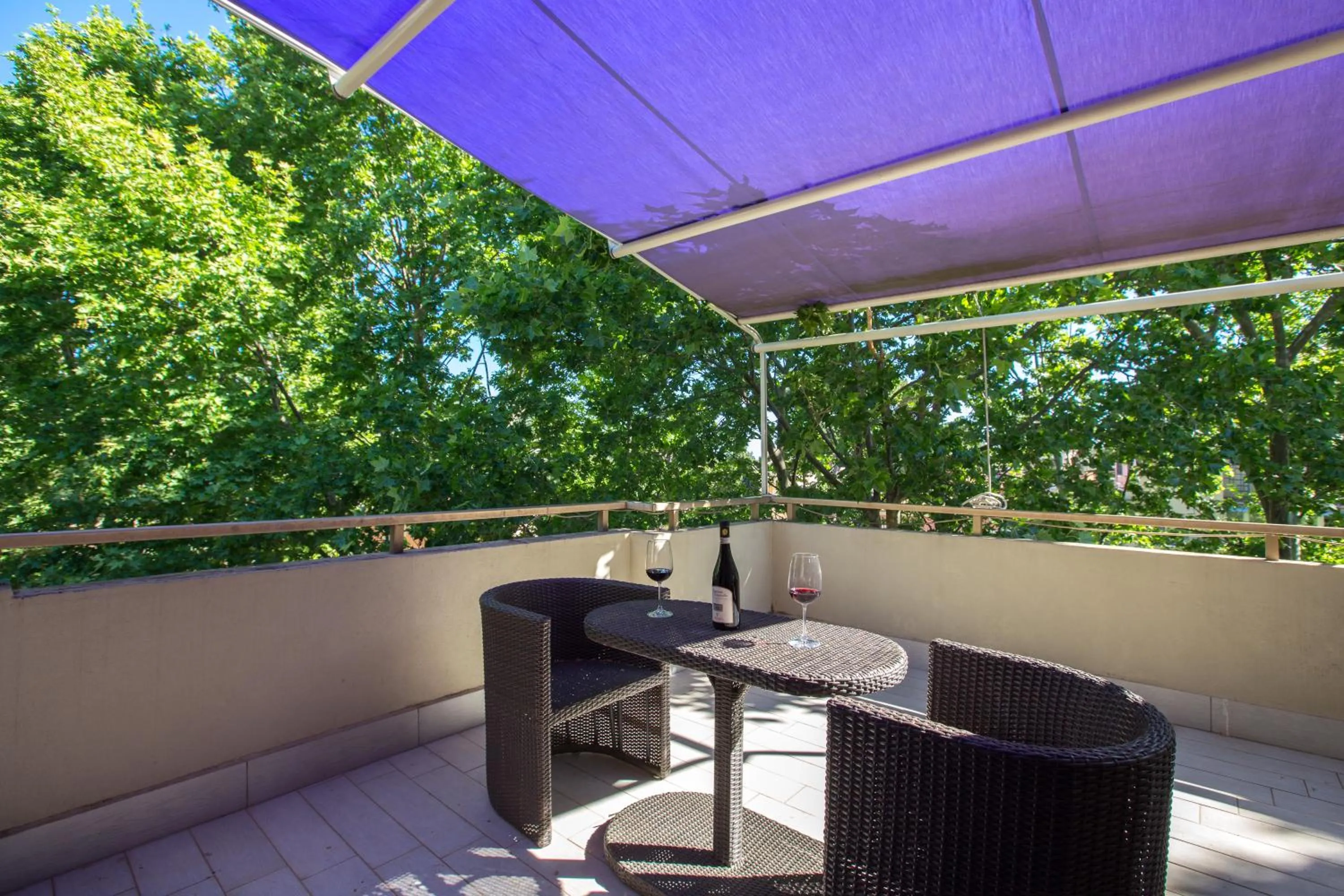 Patio in Hotel Fenix