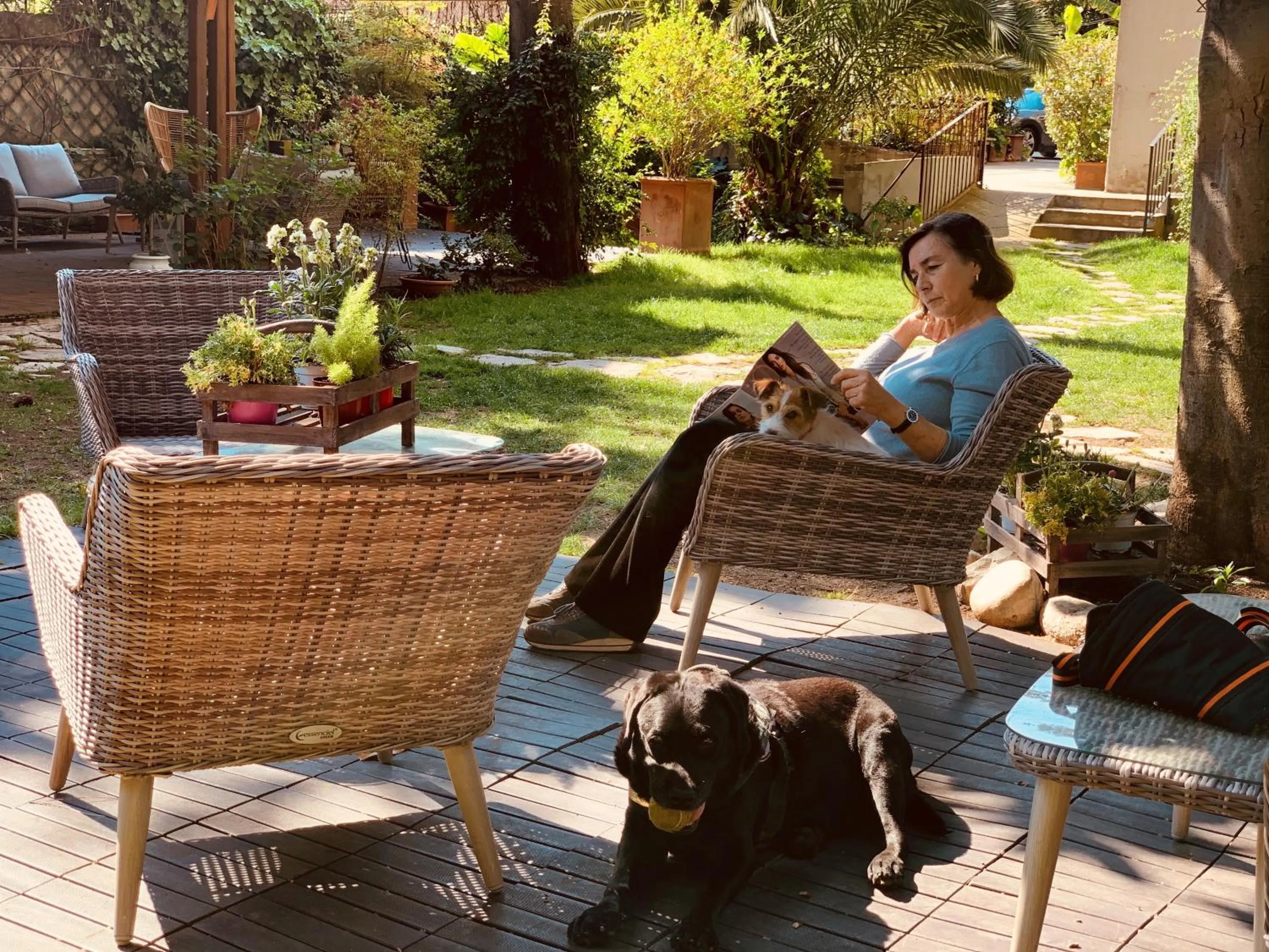 Garden in Hotel Fenix