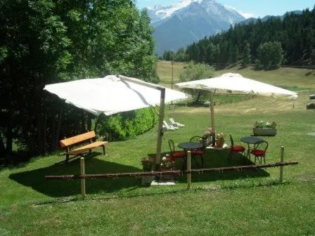 Garden in Hotel Saint Nicolas Gran Paradiso