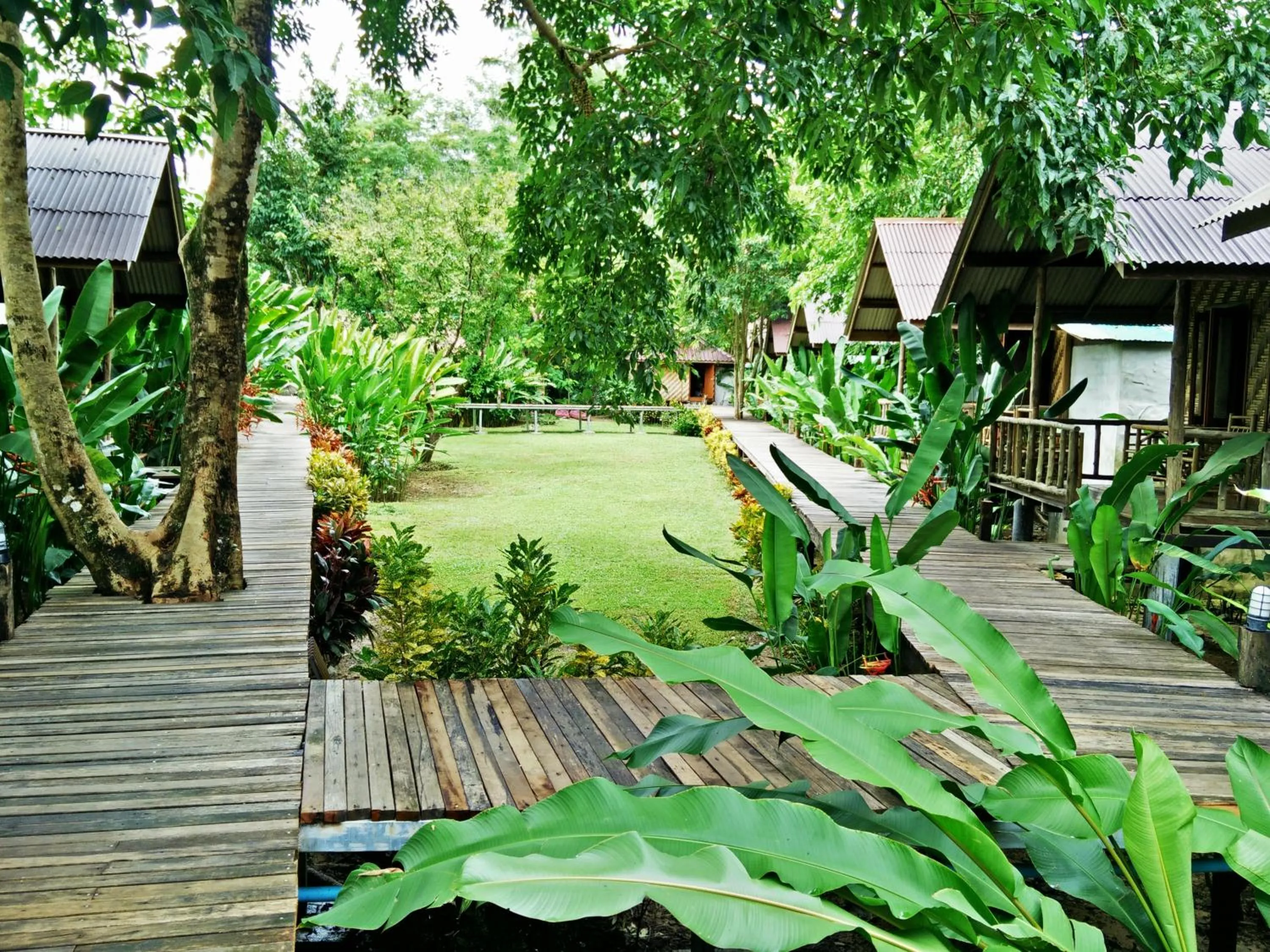 Garden in Khao Sok Cabana Resort