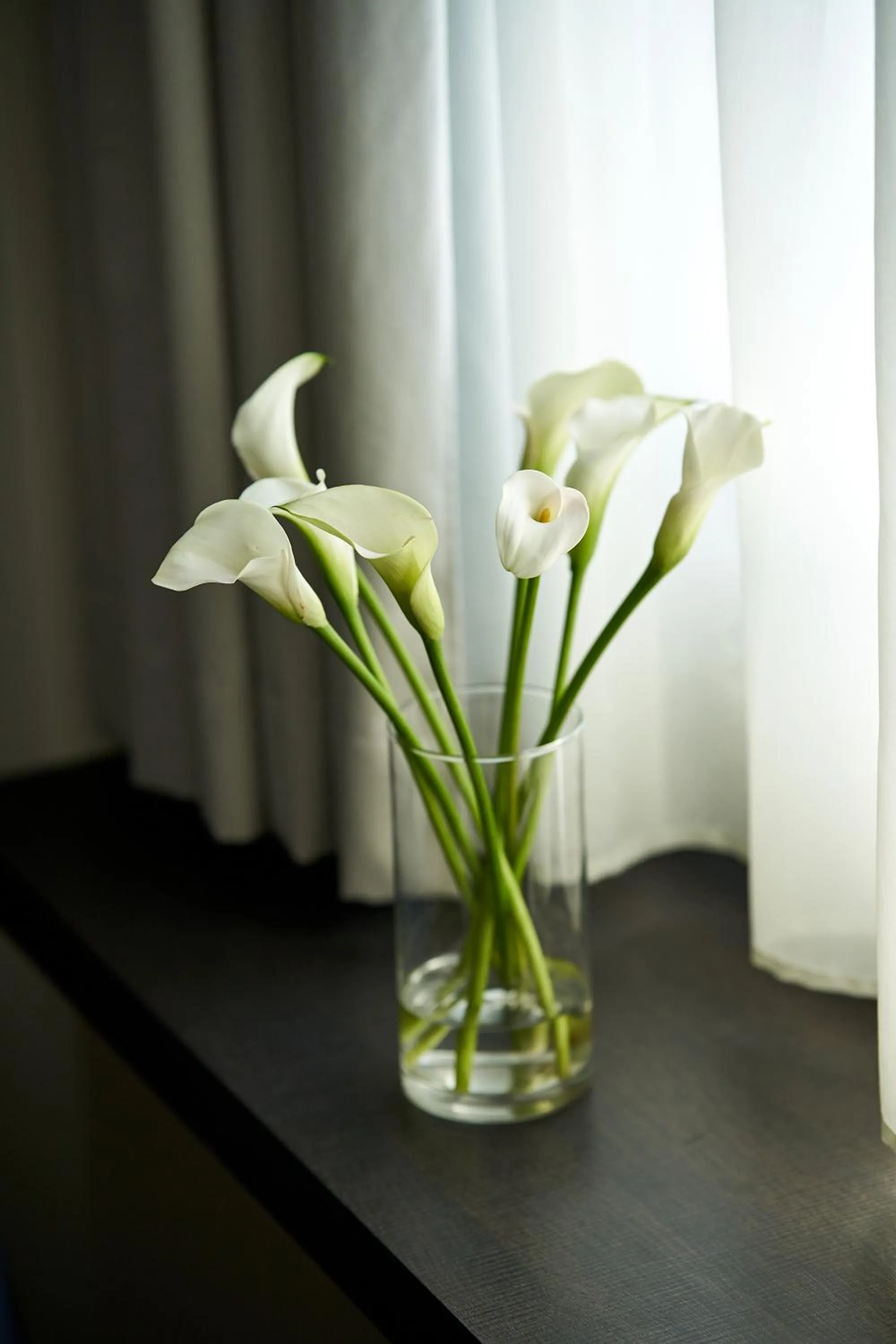 Decorative detail in UNA Hotels Bologna Fiera