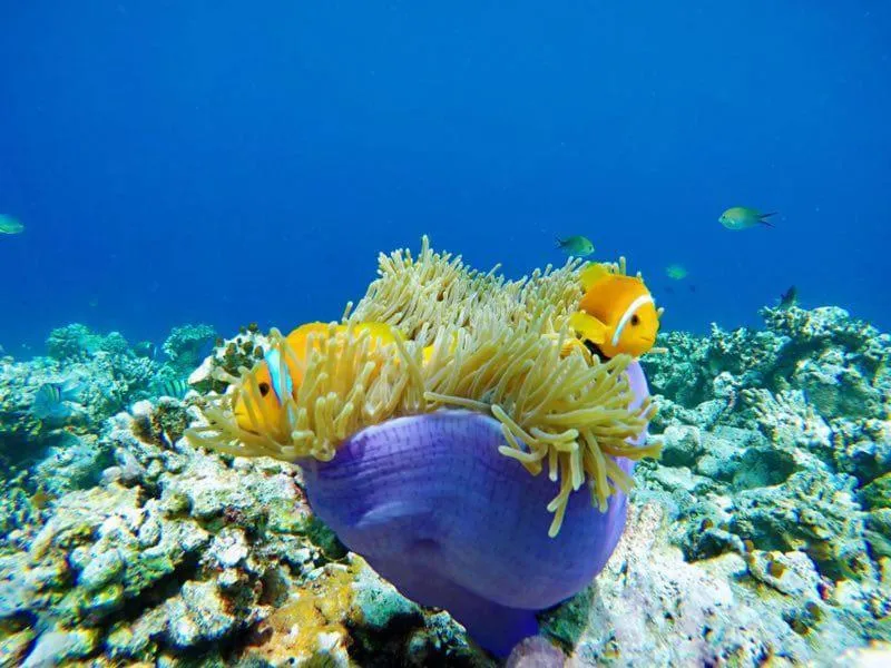 Activities in The Bilimbi Guesthouse & Inn