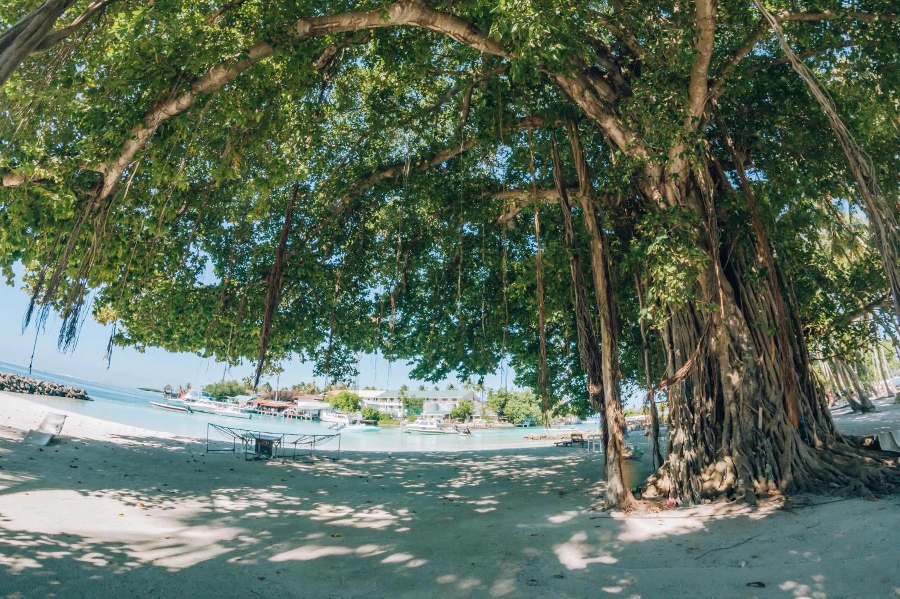 Natural landscape in The Bilimbi Guesthouse & Inn