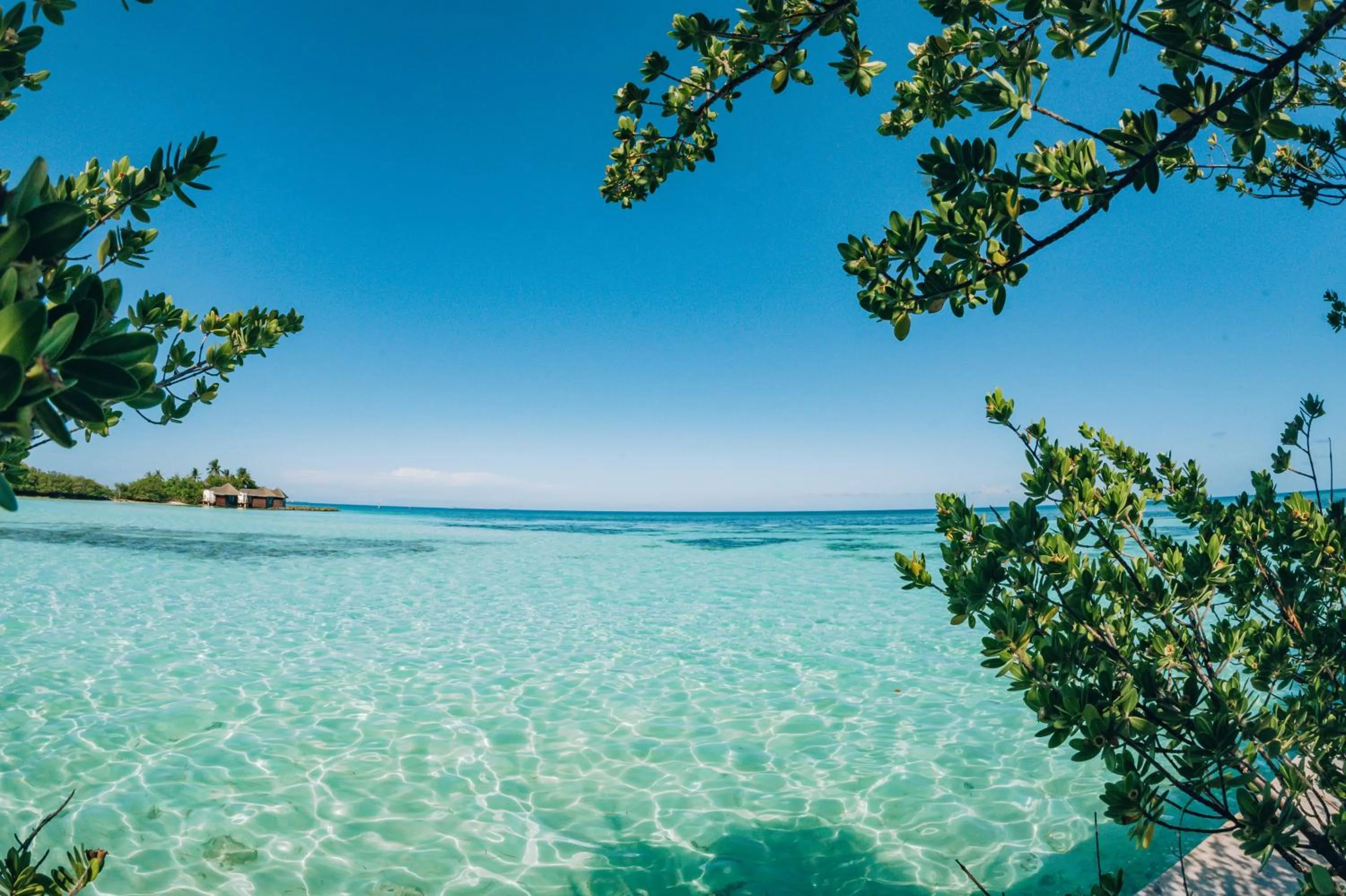 Natural landscape in The Bilimbi Guesthouse & Inn