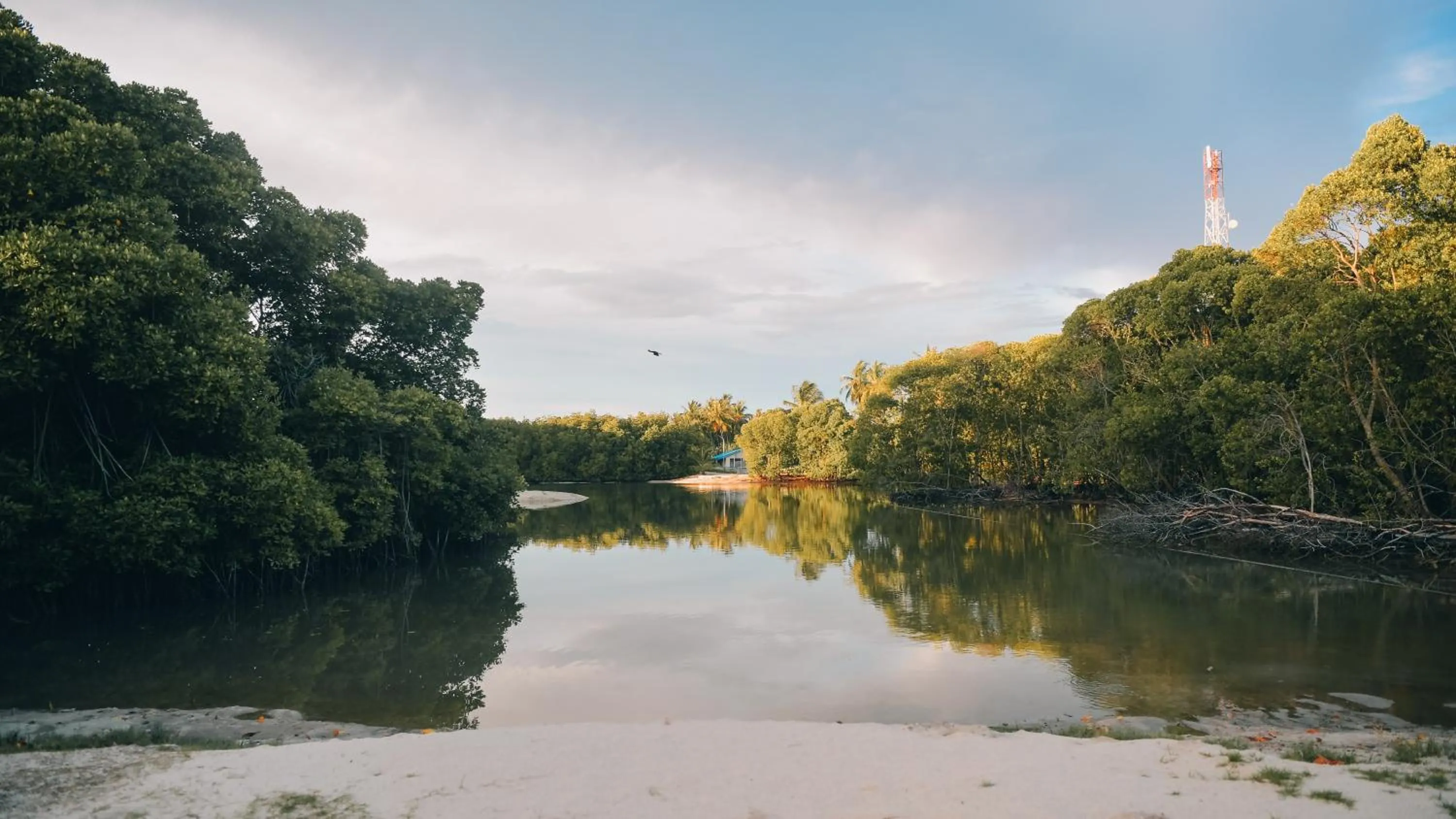Natural landscape in The Bilimbi Guesthouse & Inn