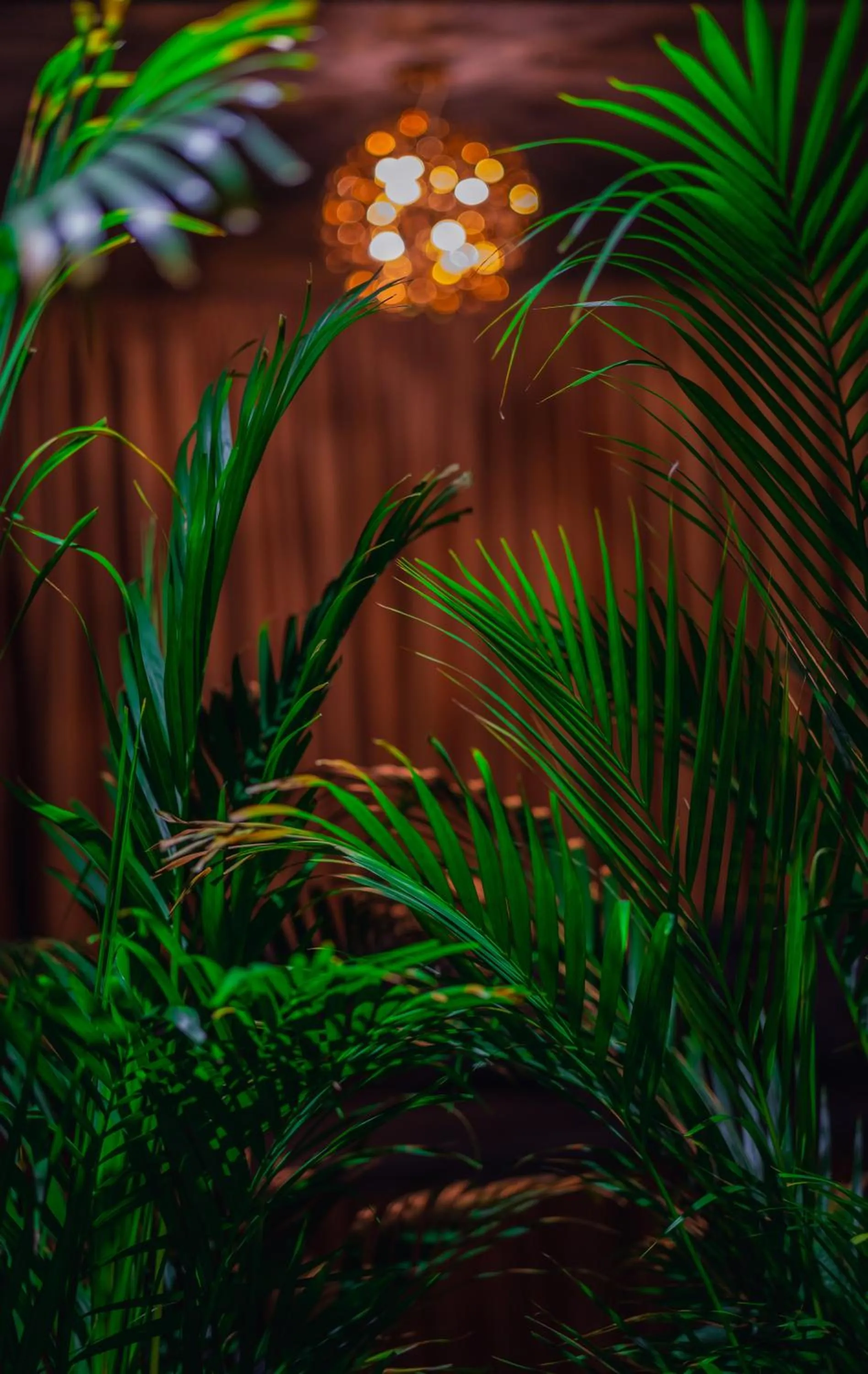 Lounge or bar in Onyx City Center