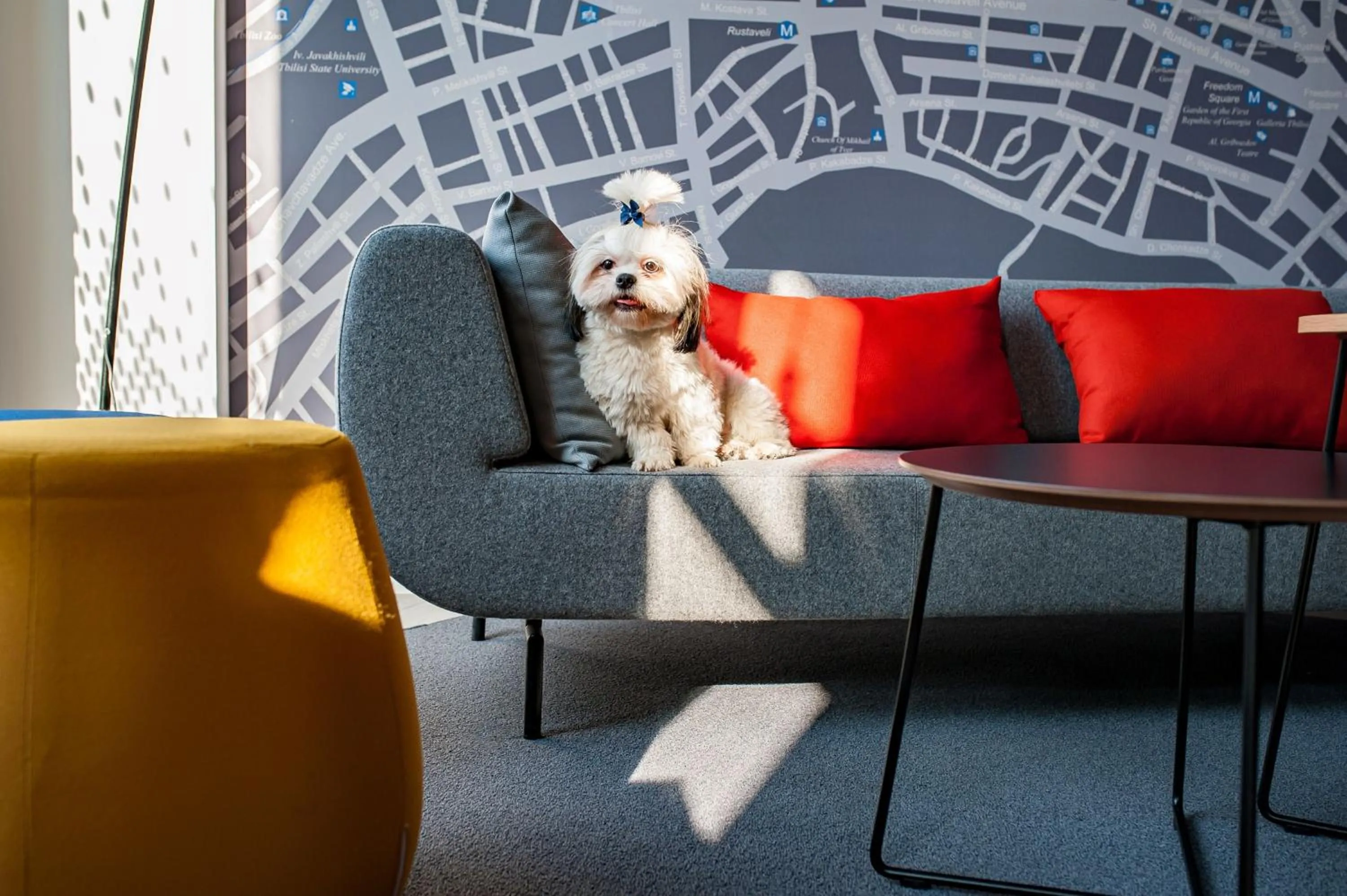 Lounge or bar in Holiday Inn Express Tbilisi Avlabari by IHG