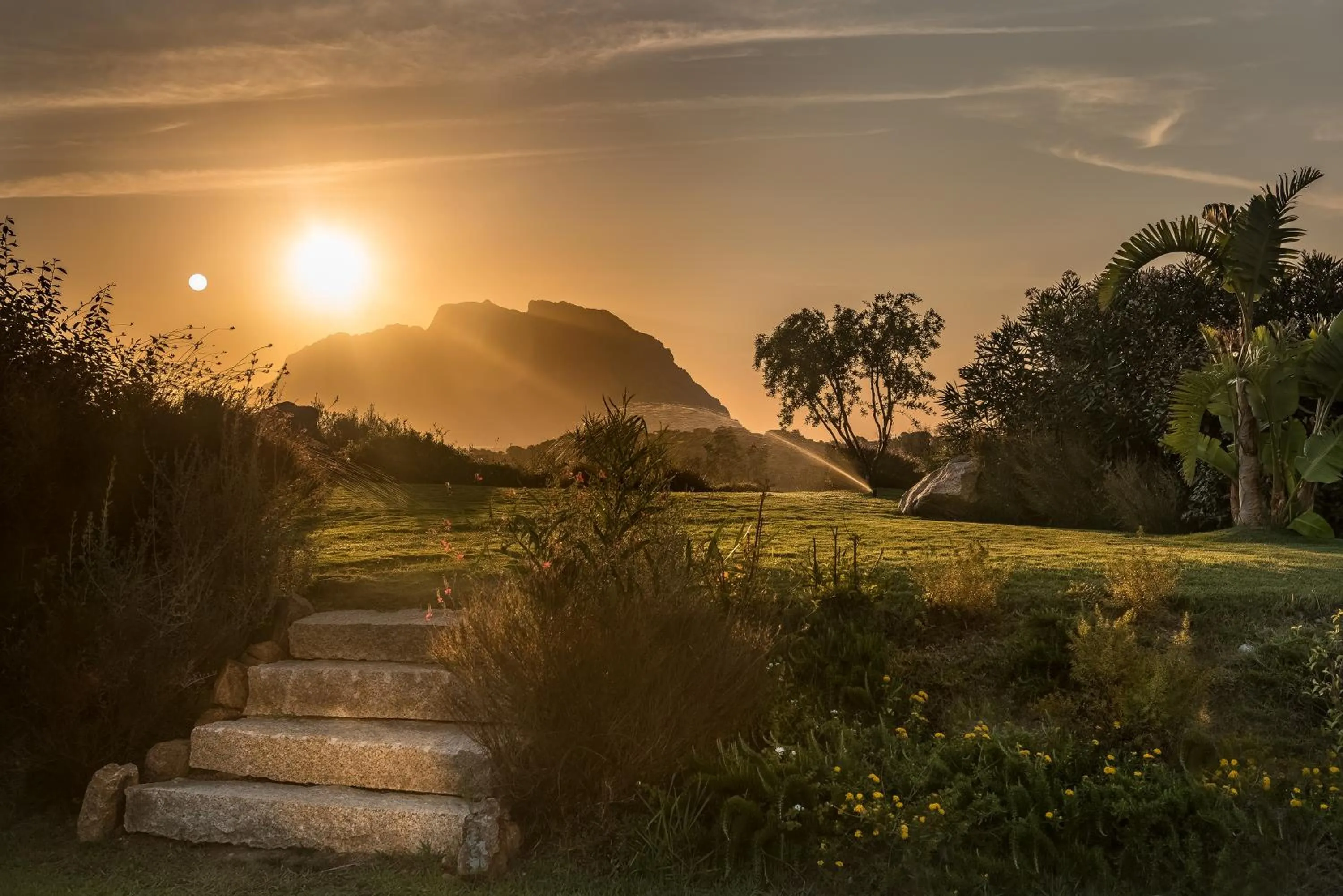 Natural landscape in Hotel Ollastu