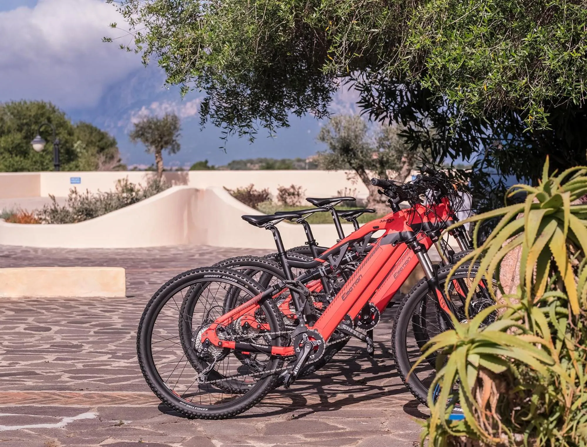 Cycling in Hotel Ollastu