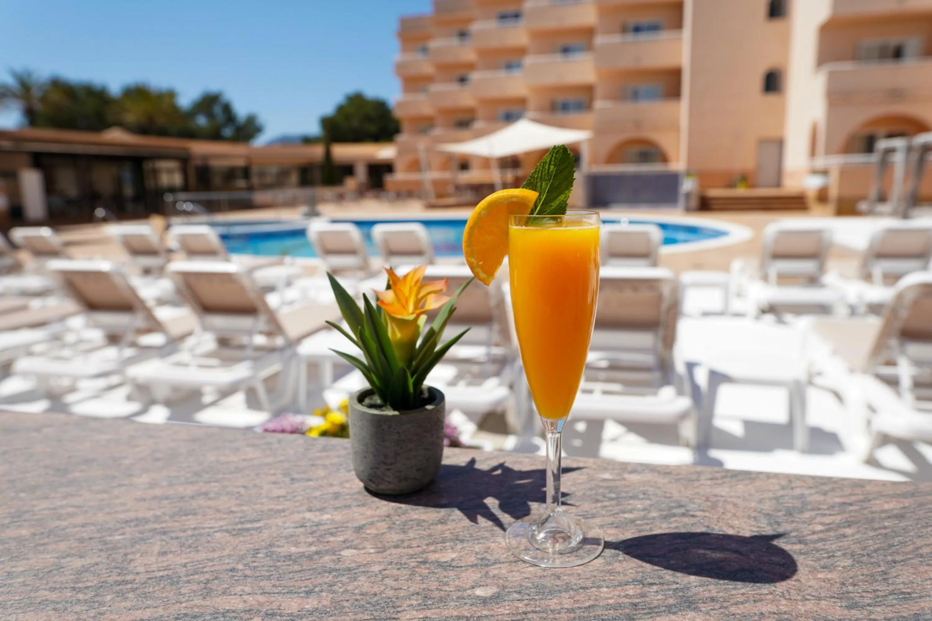 Food and drinks in Rosamar Ibiza Hotel