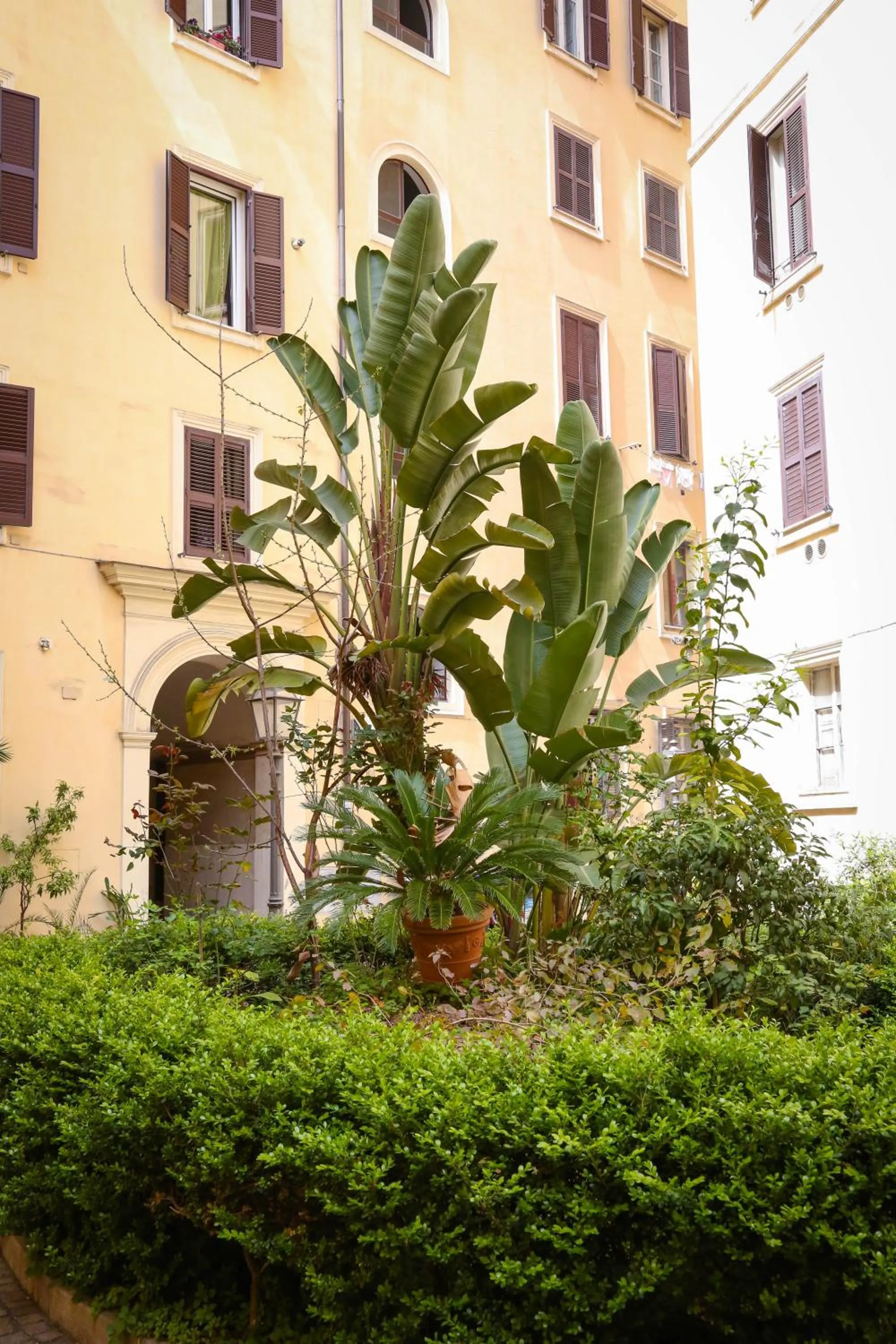 Property building in Mama House Roma