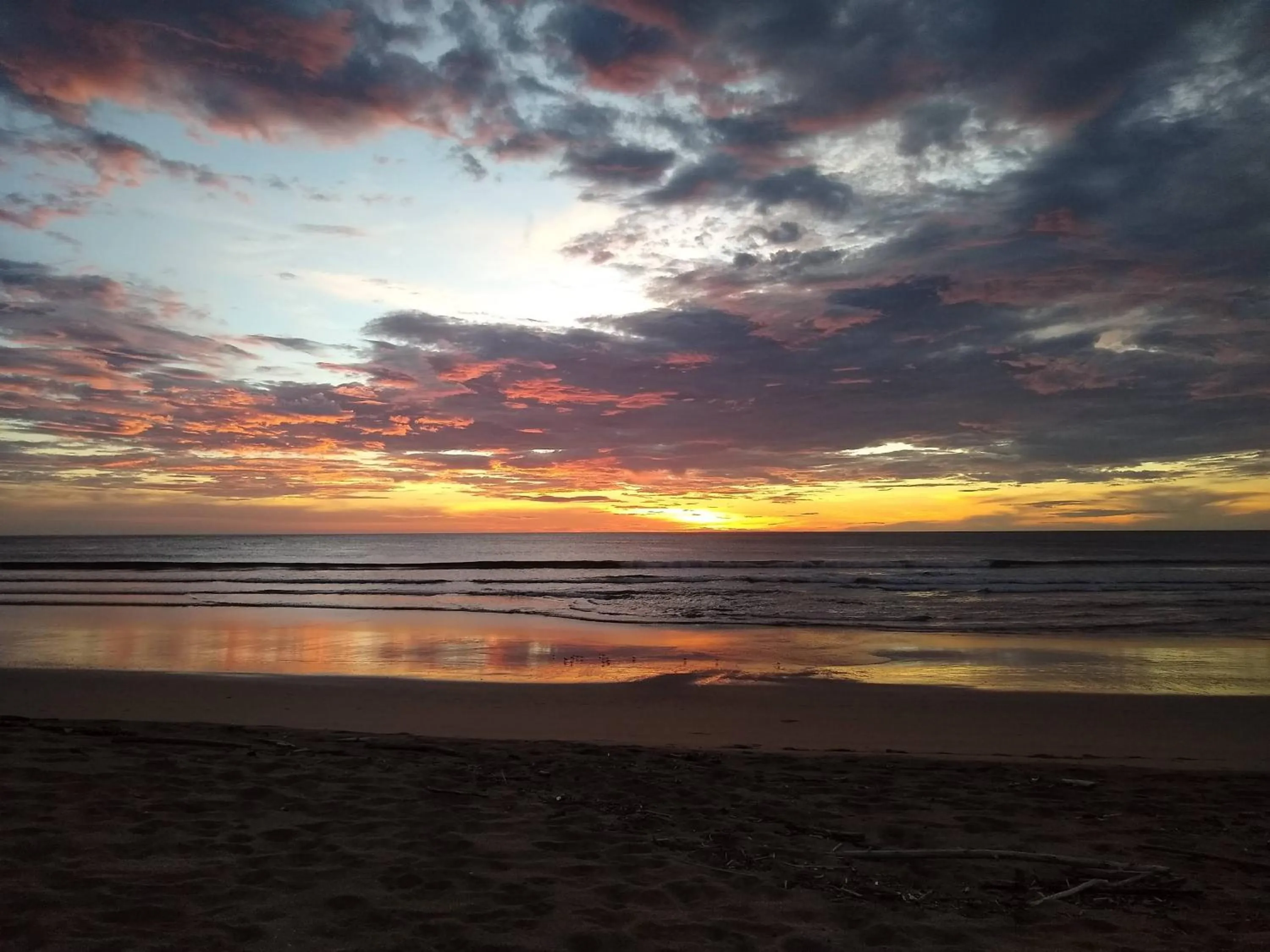 Natural landscape in Palm Beach Inn