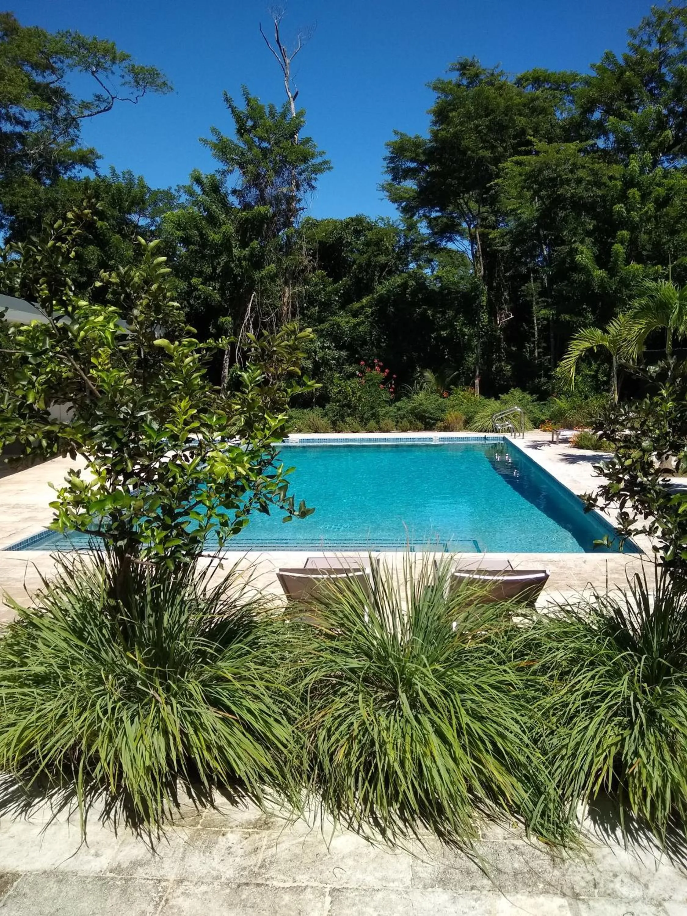 Day in Palm Beach Inn