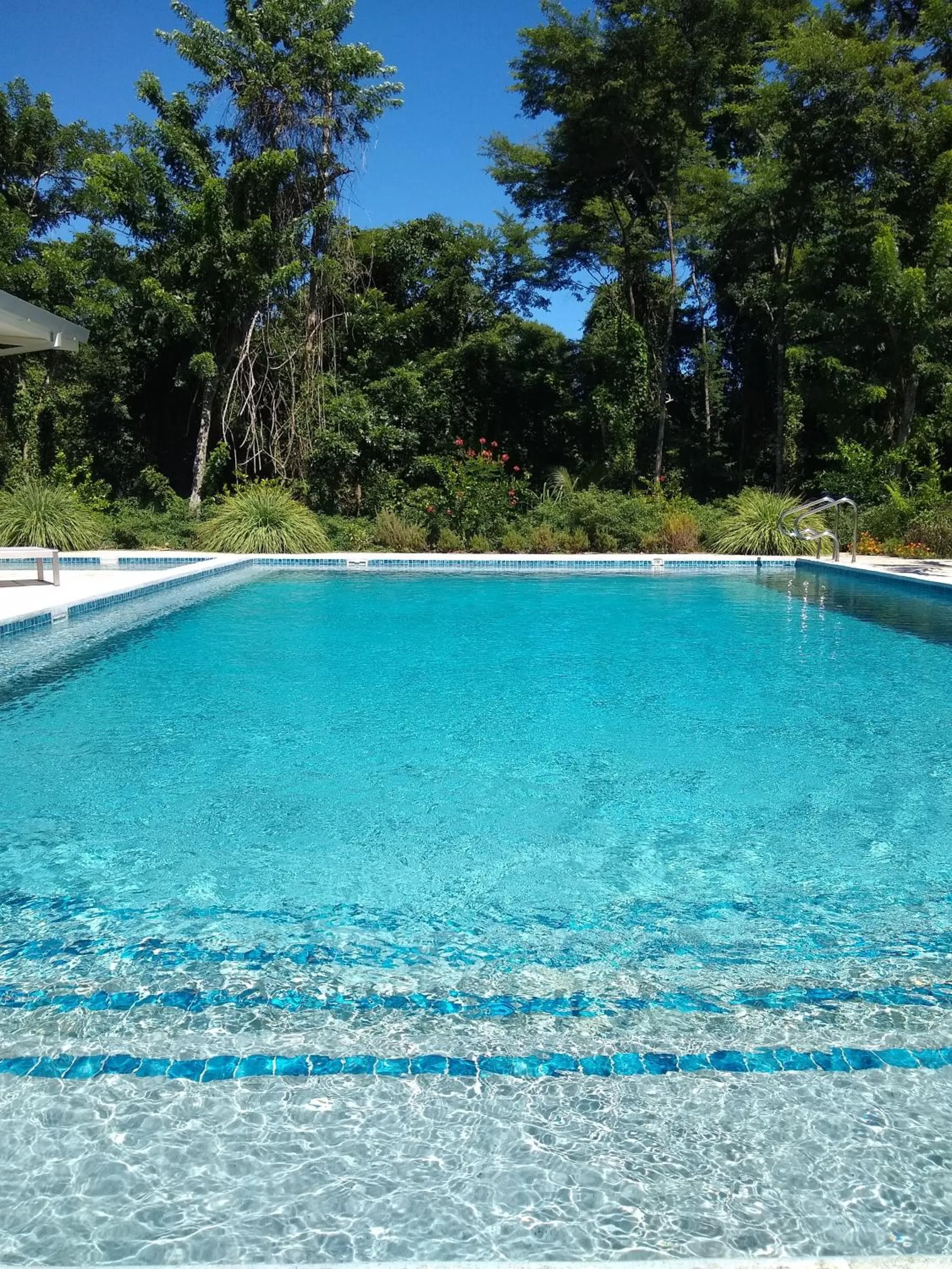 Day in Palm Beach Inn