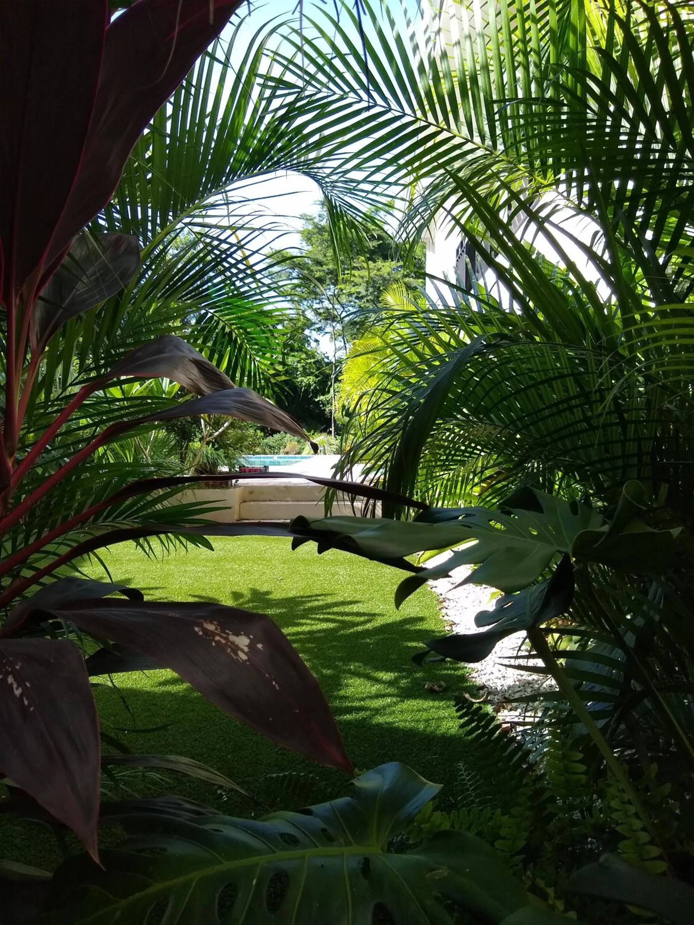 Day in Palm Beach Inn