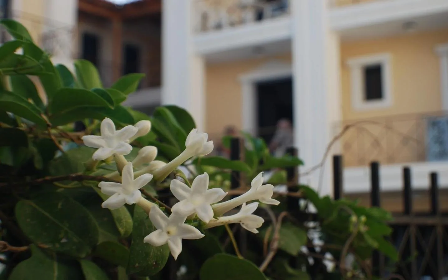 Renia Hotel Agia Pelagia -Crete