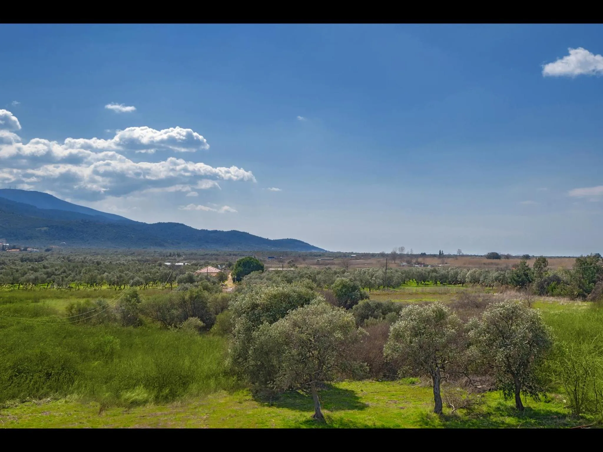 View (from property/room) in Thassian Riviera Hotel