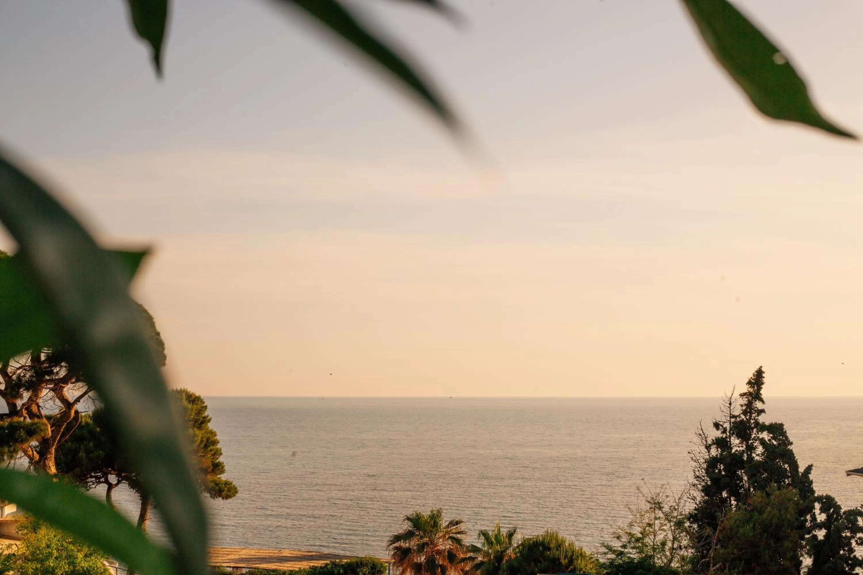 Balcony/Terrace in White Hill Hotel, SPA & Conferences